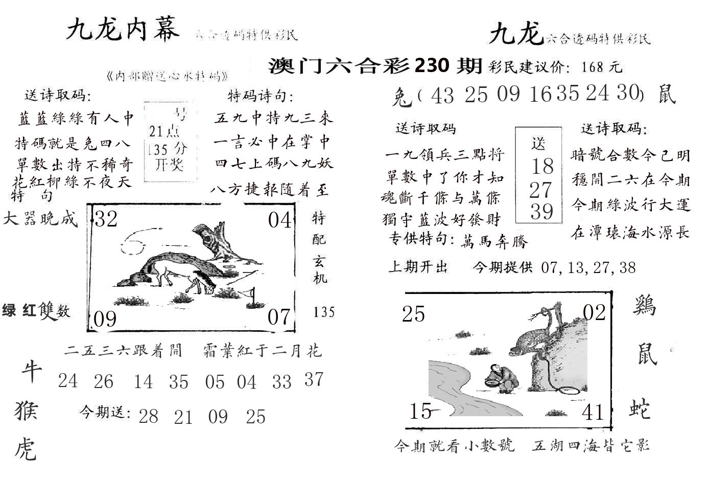 九龙内幕 第230期