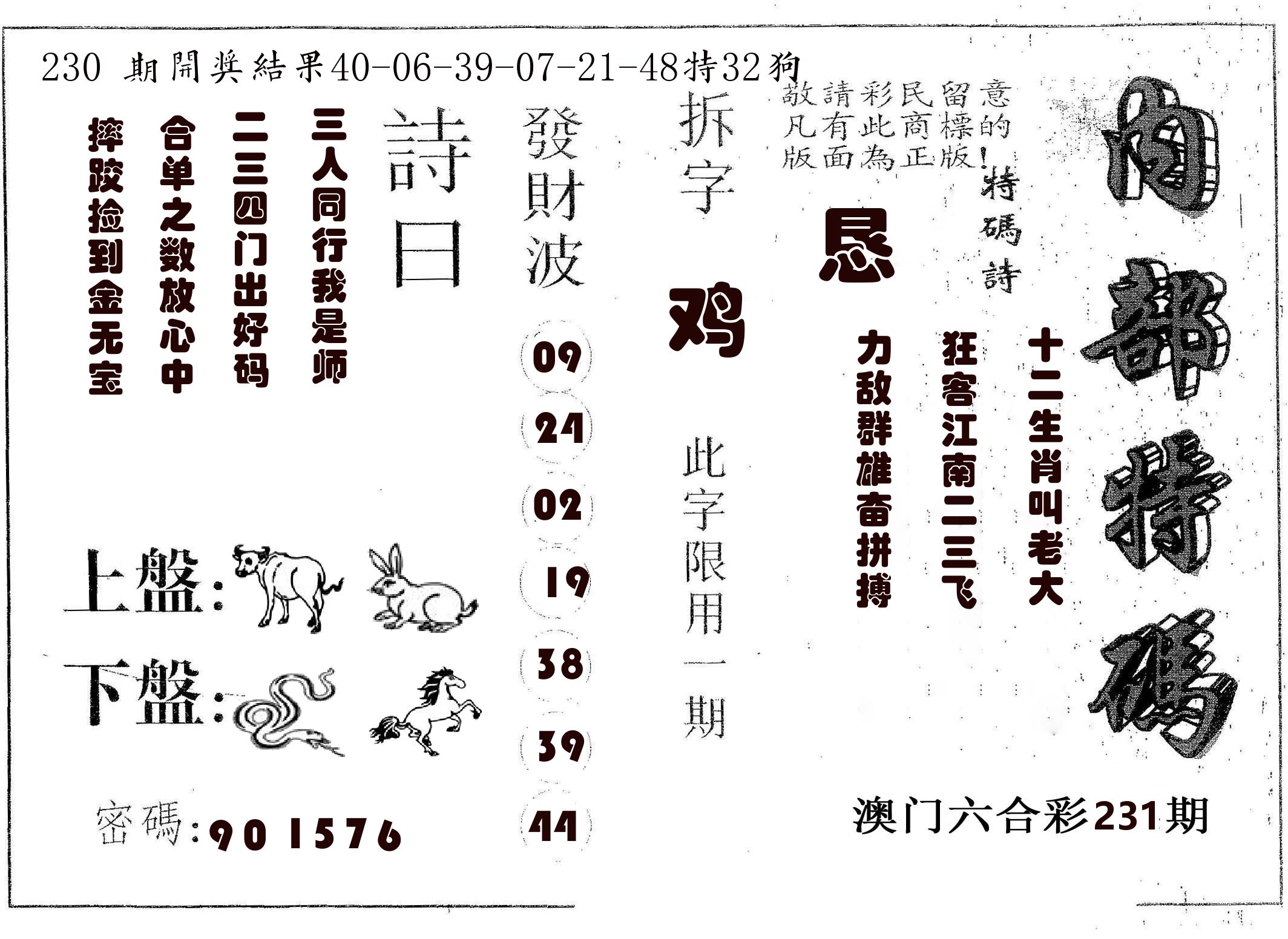 内部特码 第231期