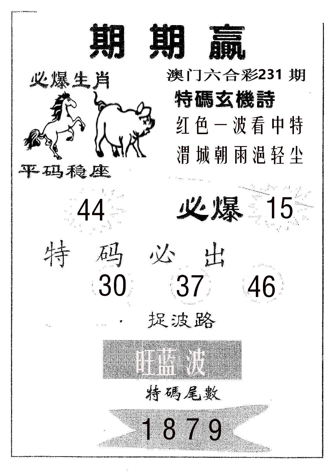 期期赢 第231期