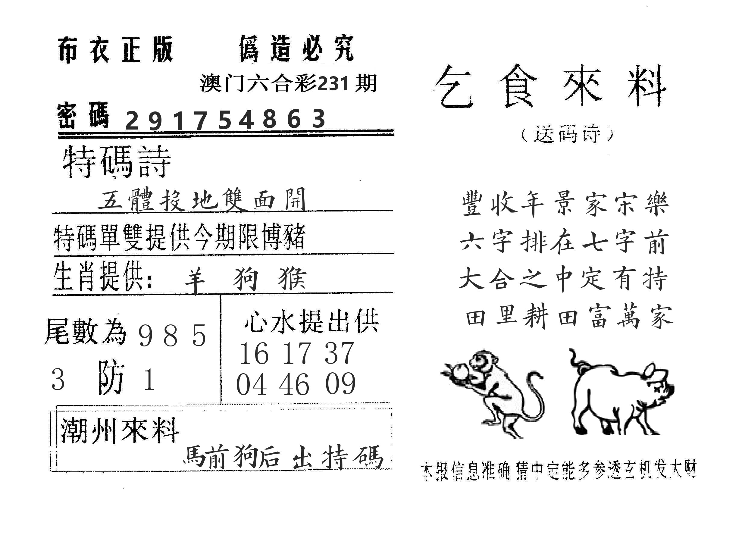 乞食来料 第231期