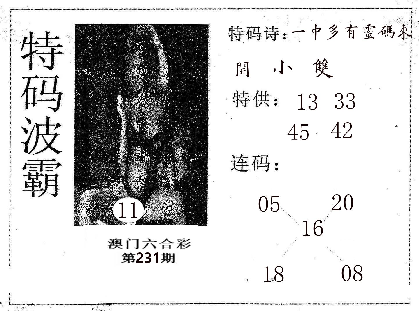 特码波霸 第231期