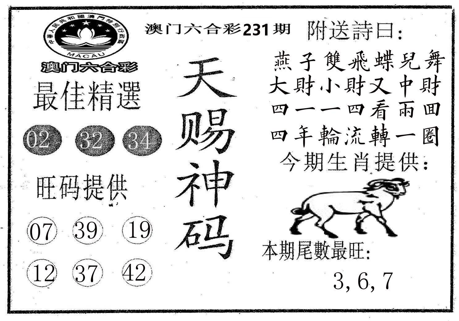 天赐神码 第231期