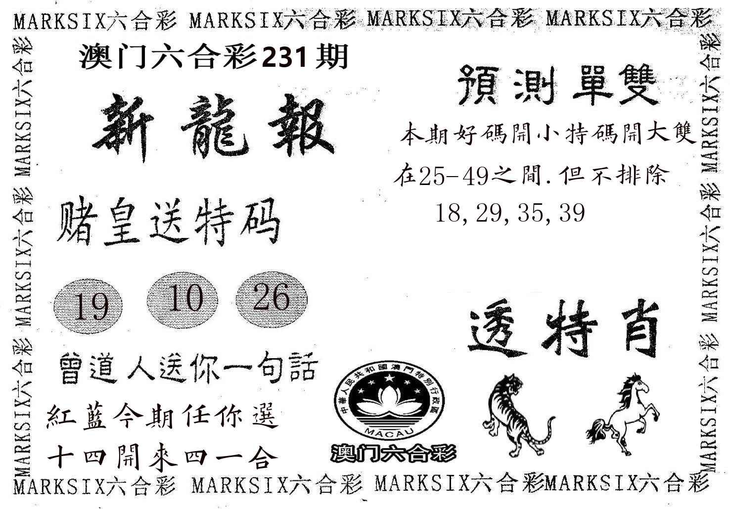 新龙报 第231期