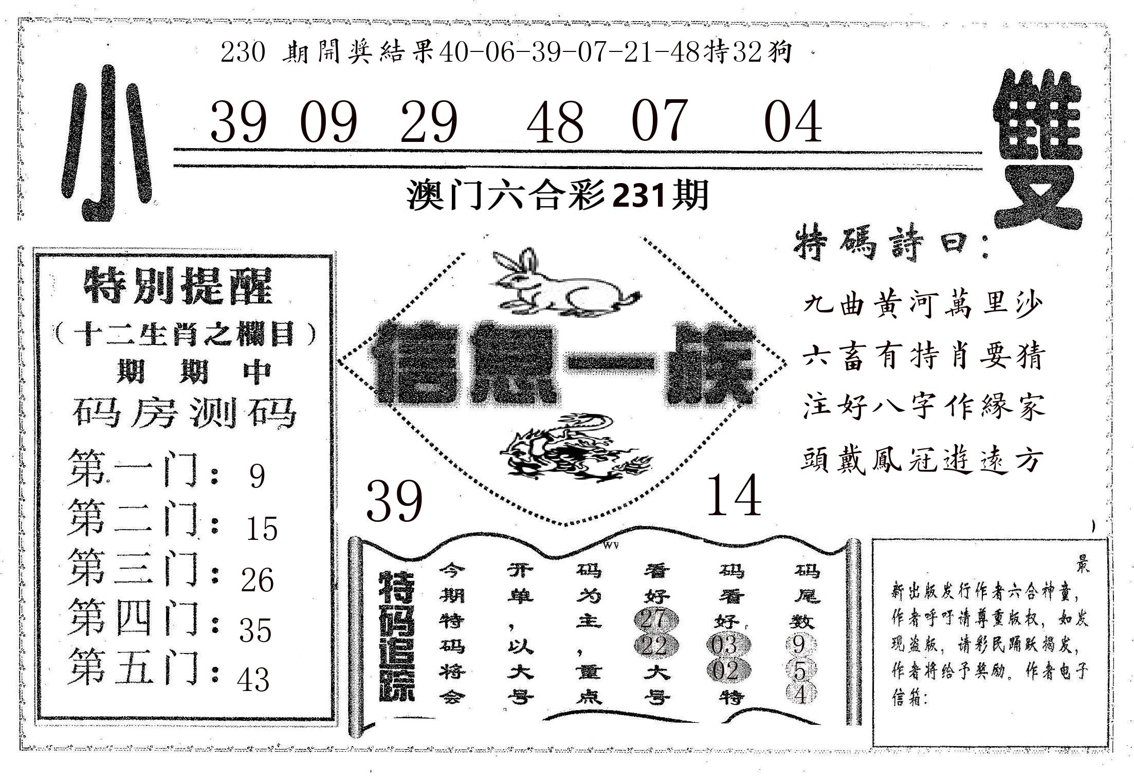 信息一族 第231期