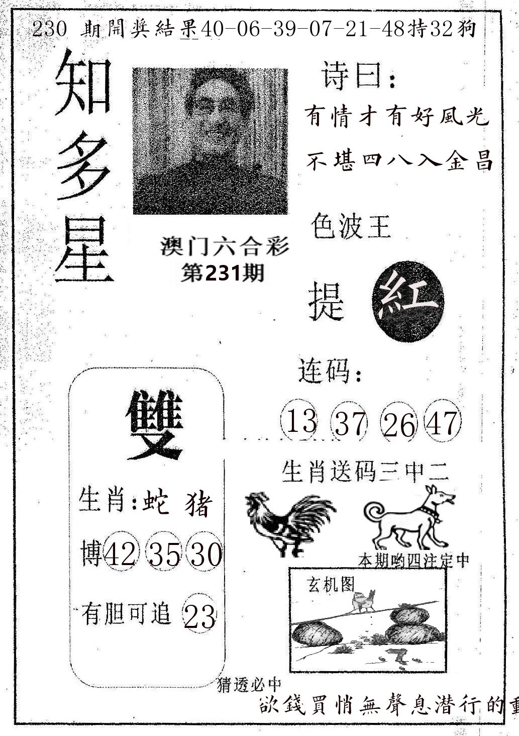 知多星 第231期