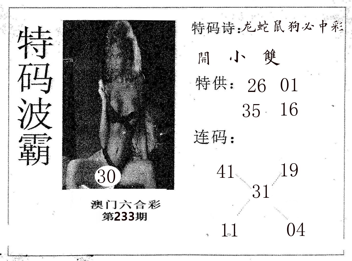 特码波霸 第233期