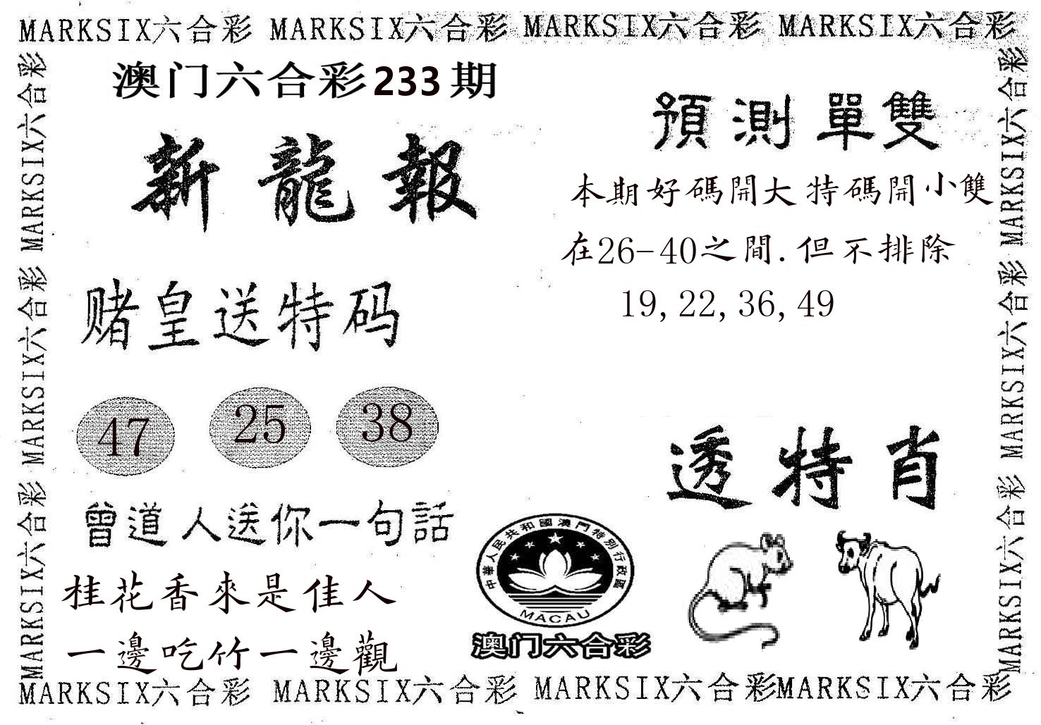 新龙报 第233期