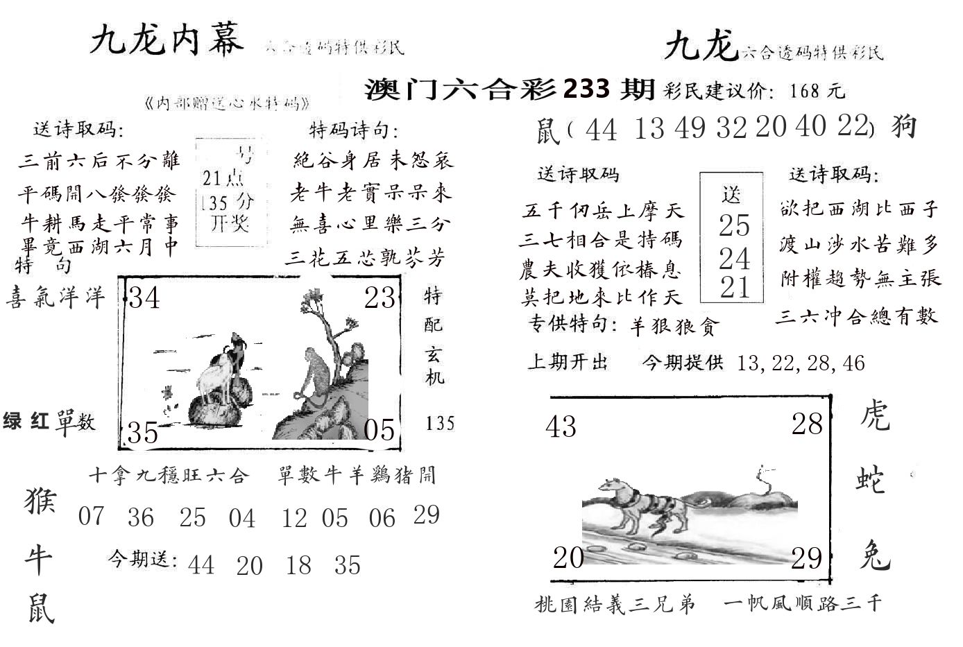 九龙内幕 第233期
