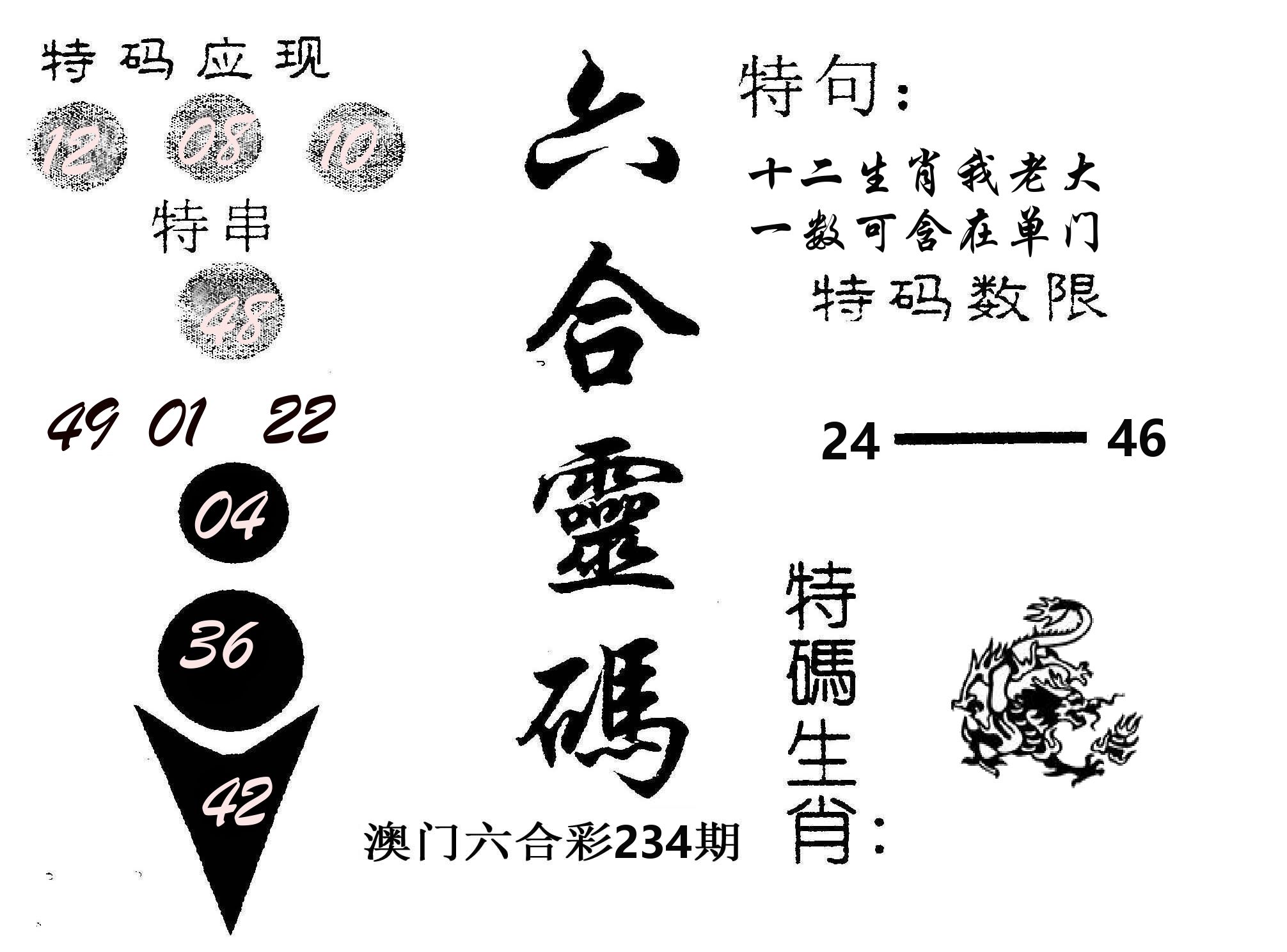 六合灵码 第234期