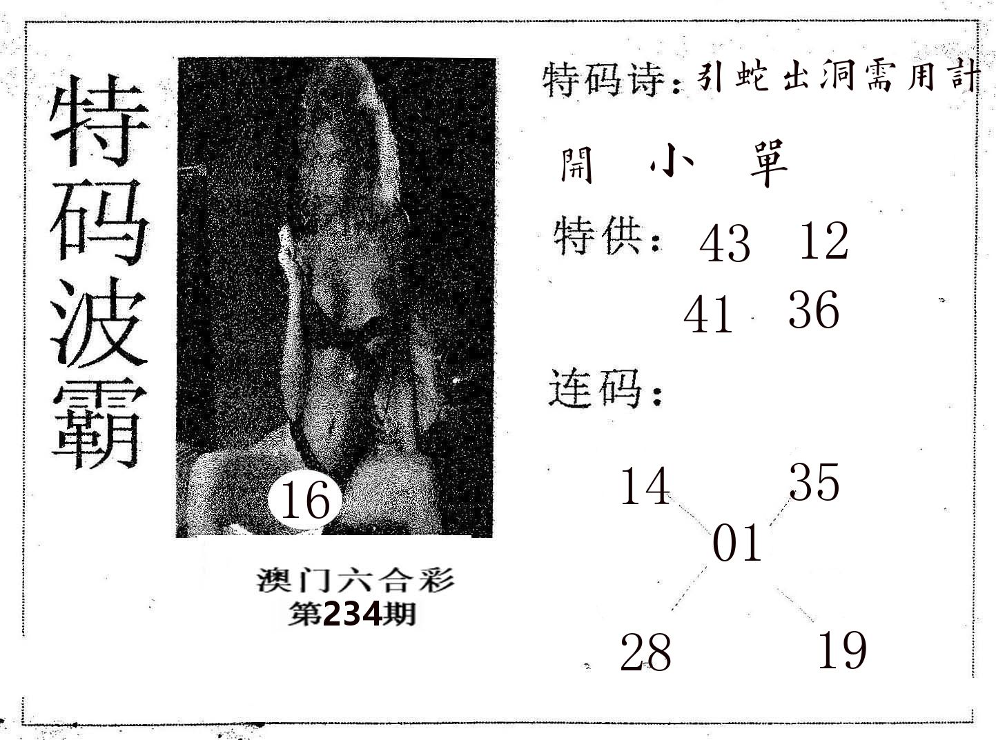 特码波霸 第234期