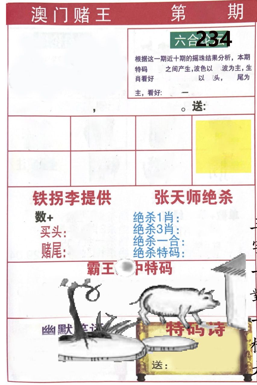 澳门堵王 第234期