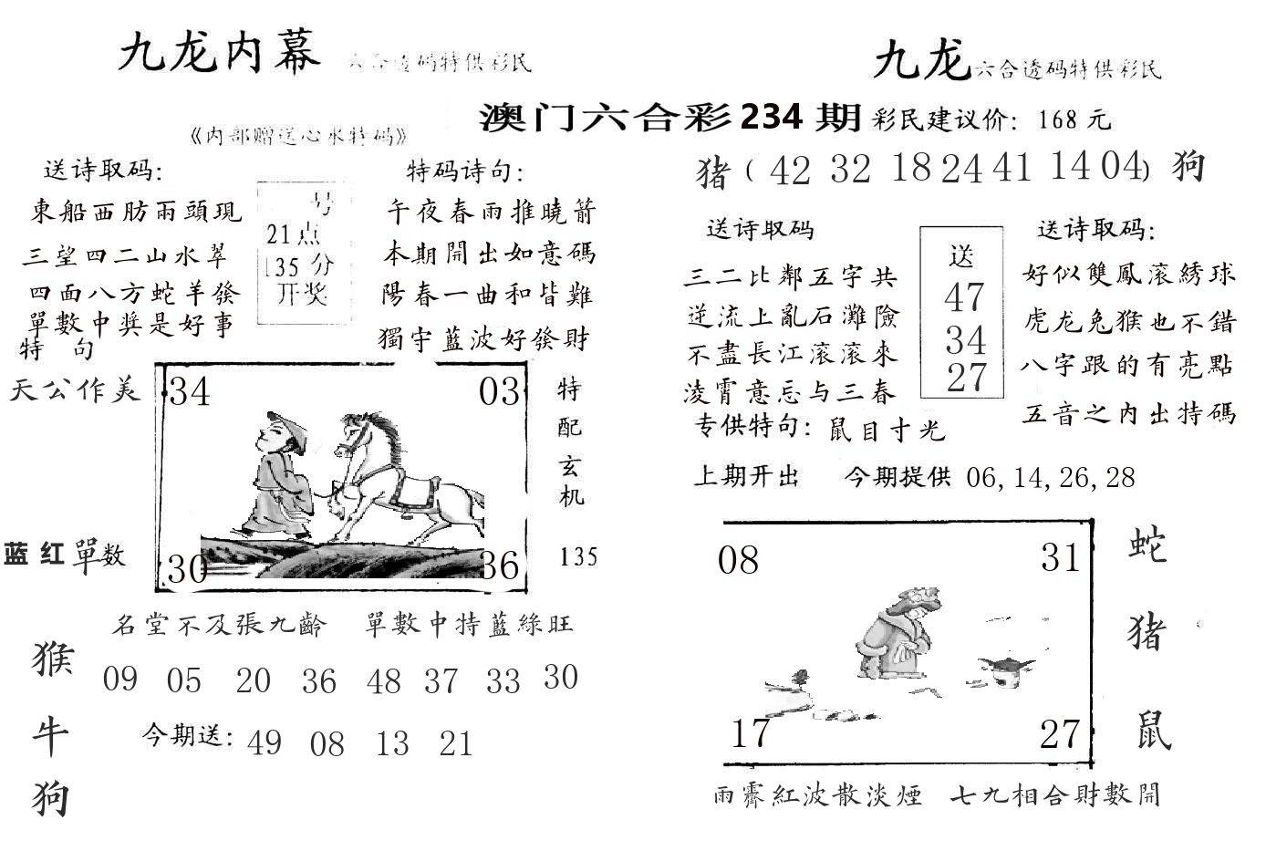 九龙内幕 第234期