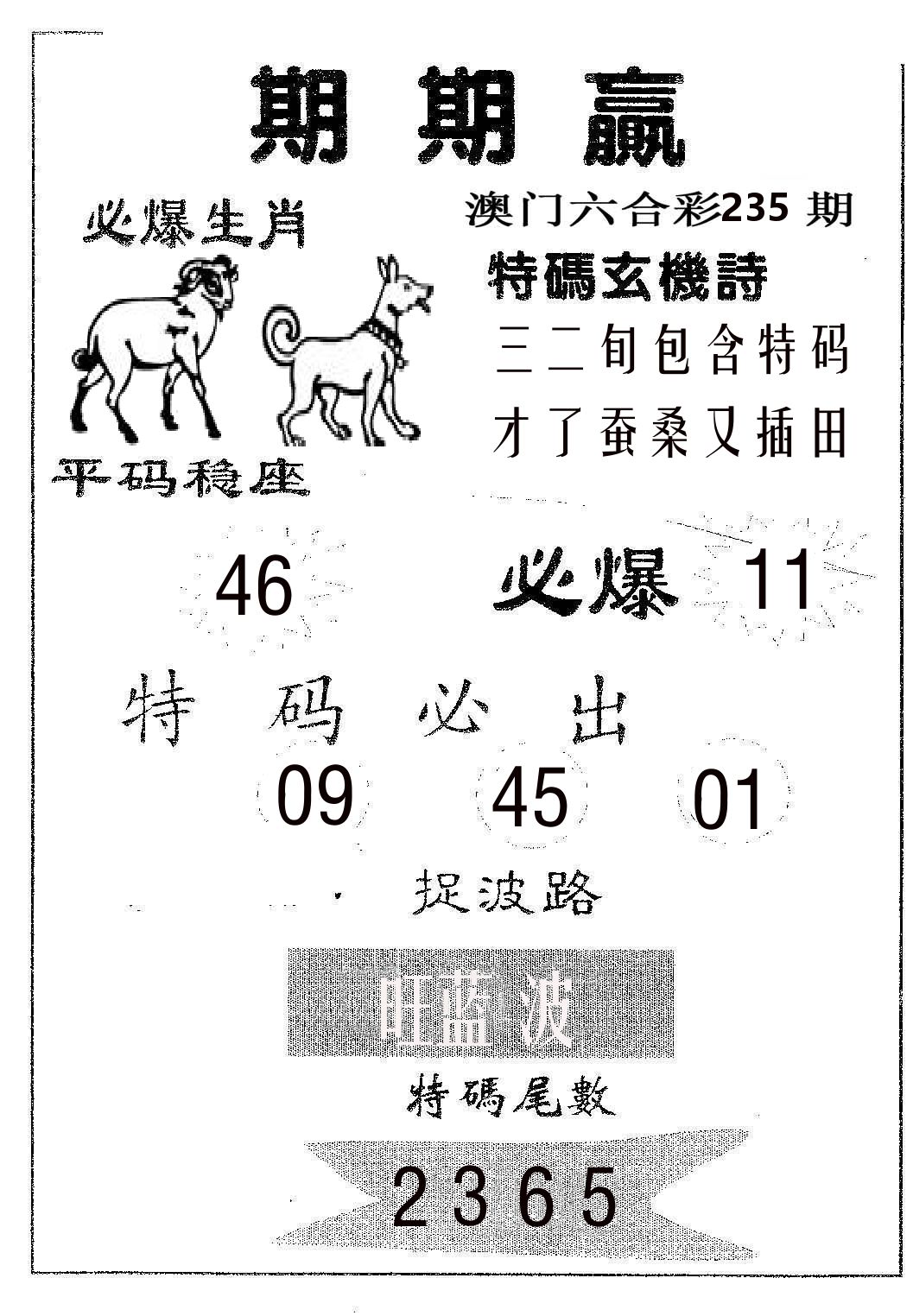 期期赢 第235期