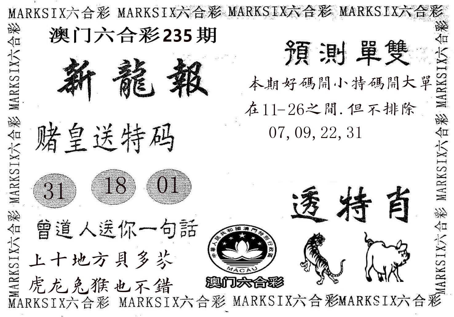 新龙报 第235期