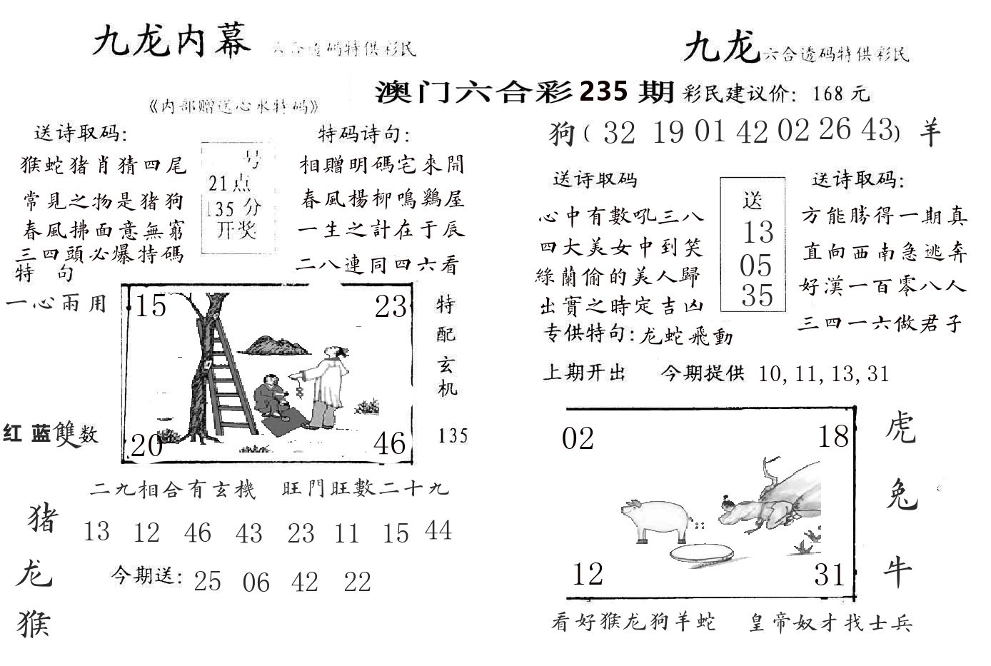 九龙内幕 第235期