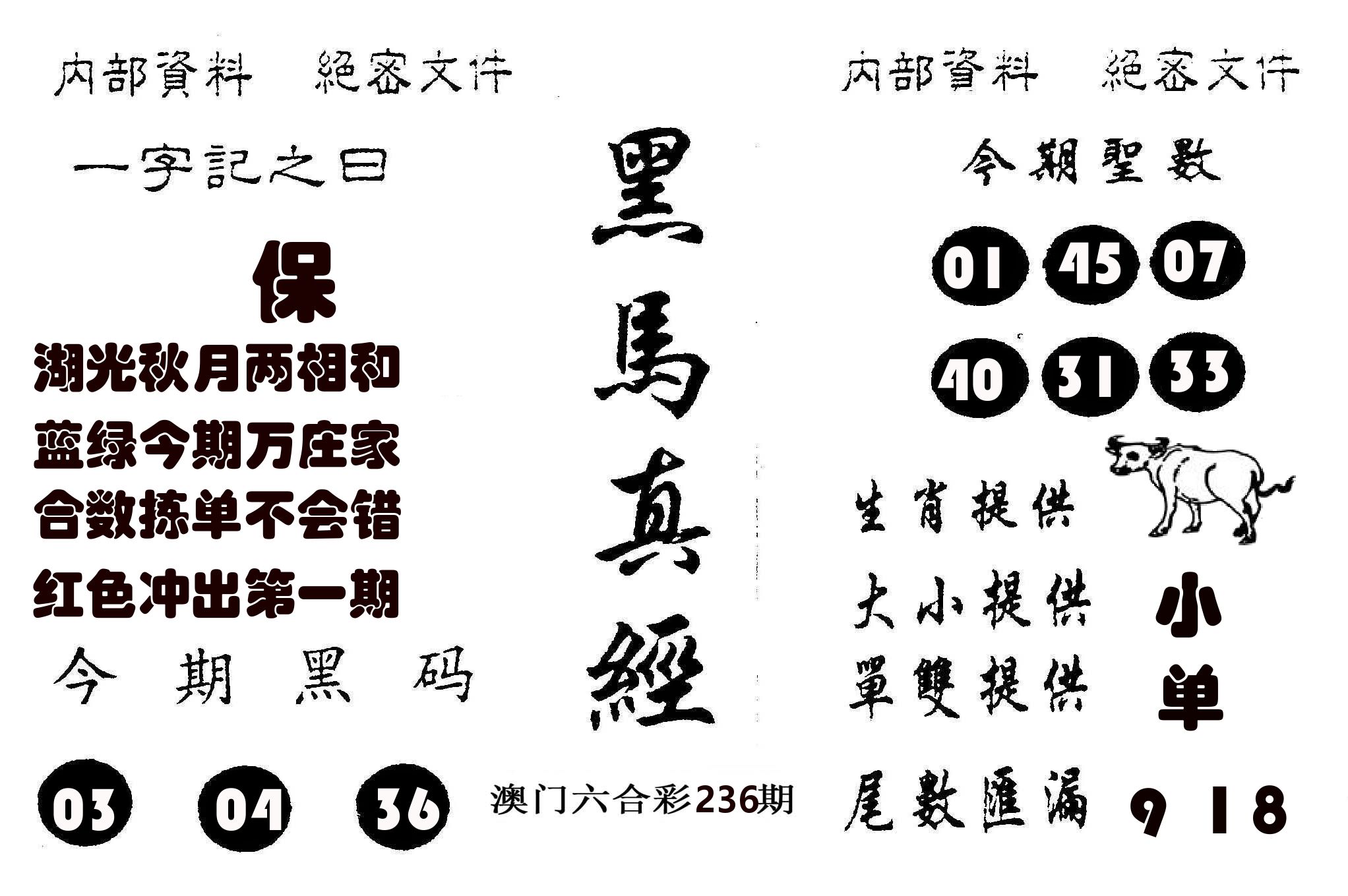 黑马真经 第236期