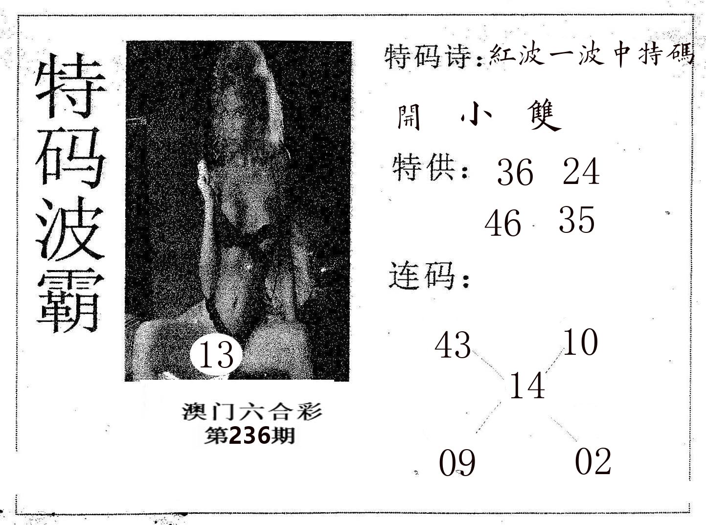 特码波霸 第236期