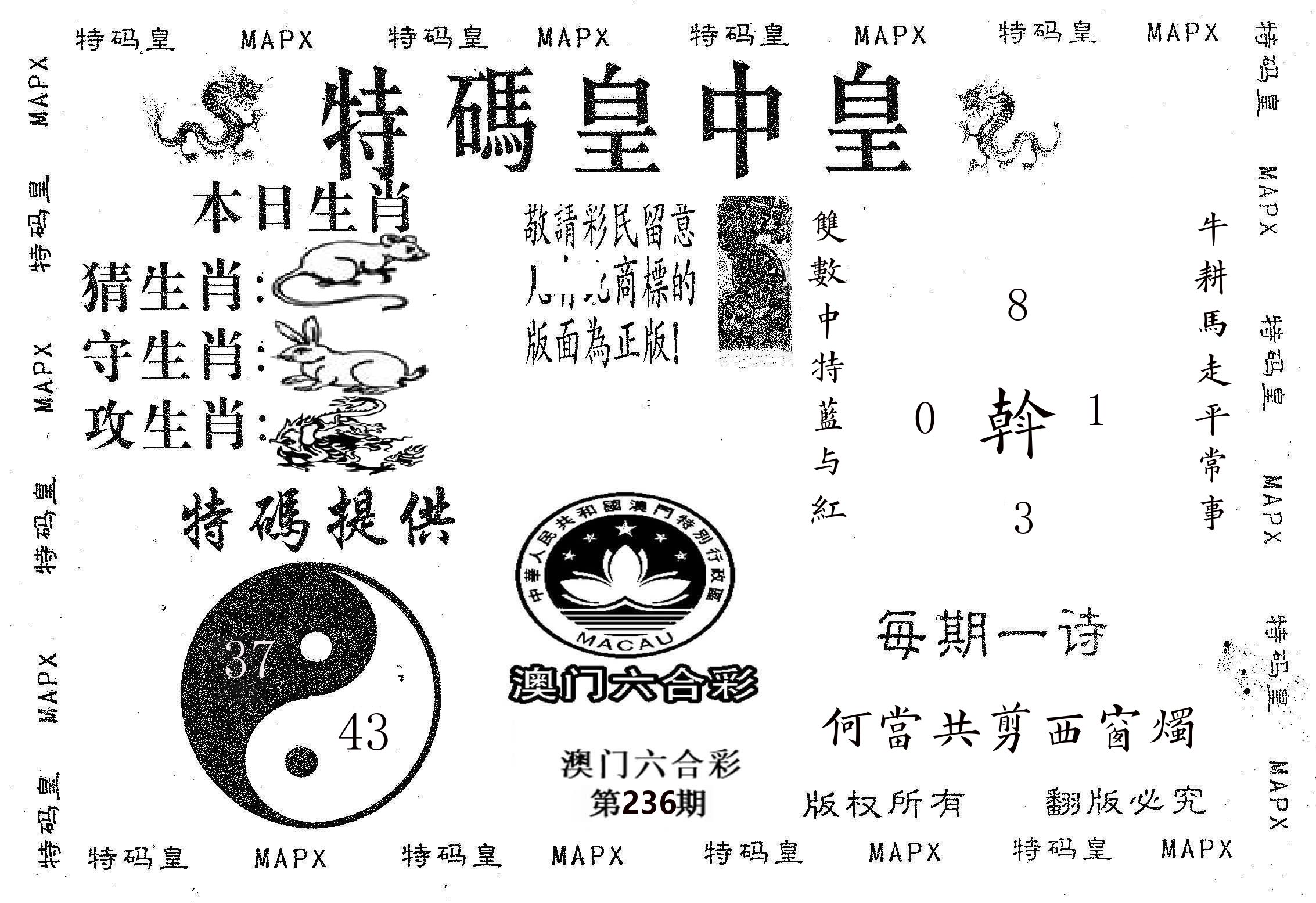 皇中皇B 第236期