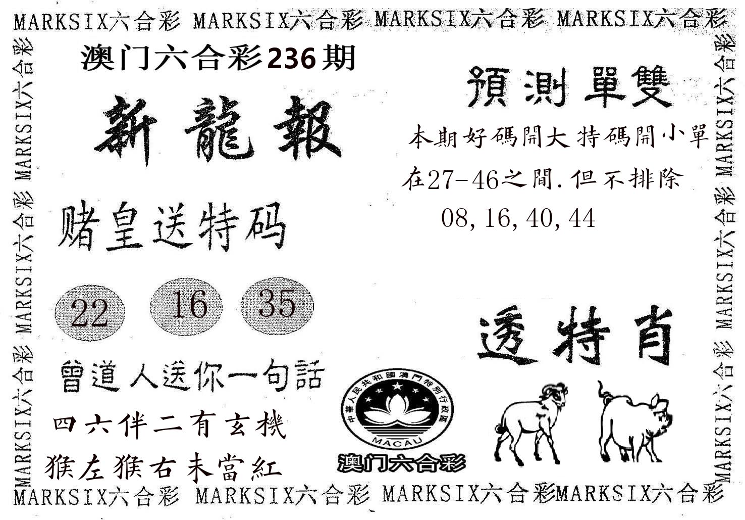 新龙报 第236期