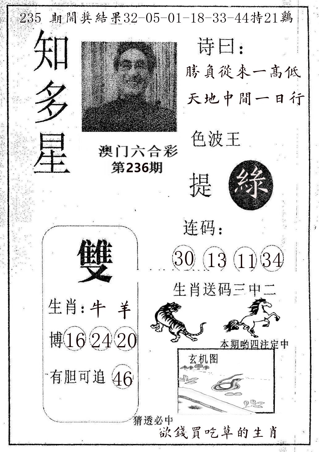 知多星 第236期