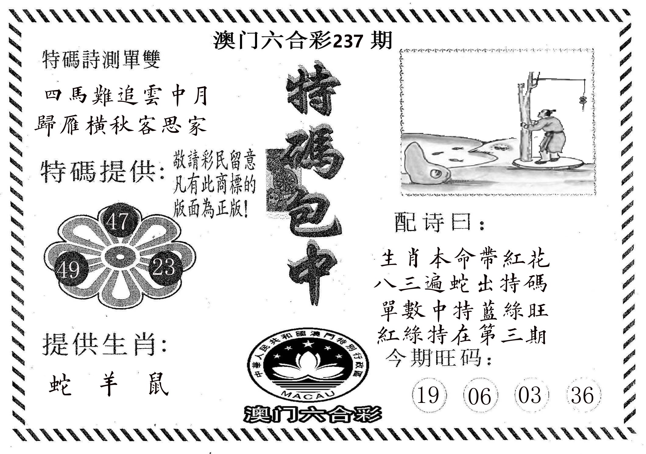 特码包中 第237期