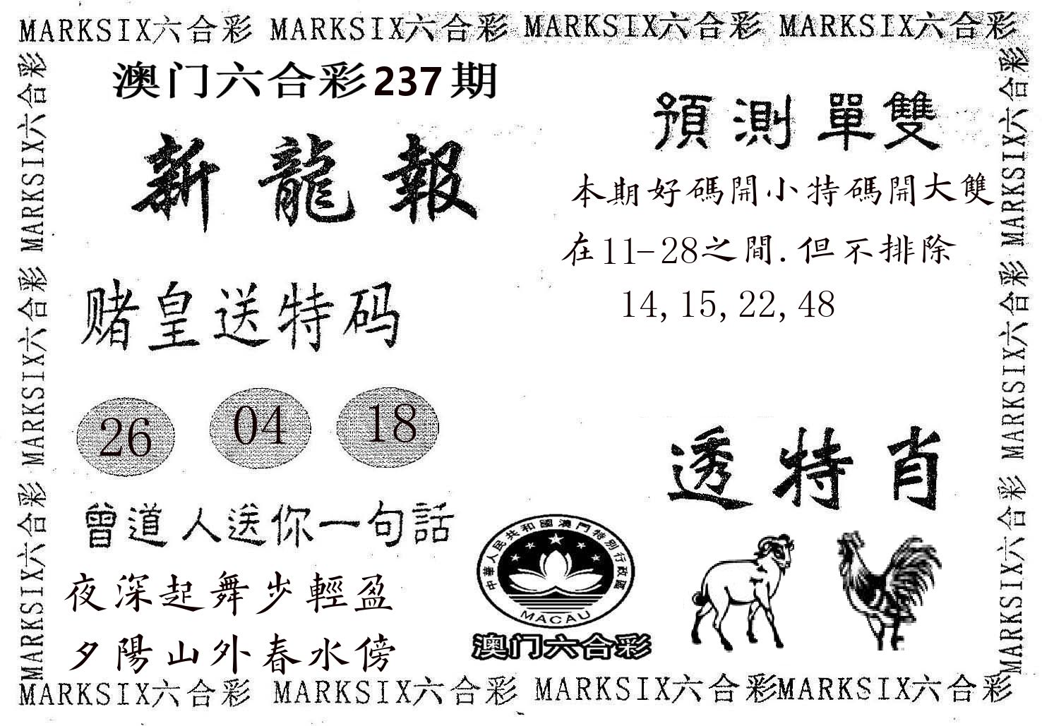 新龙报 第237期
