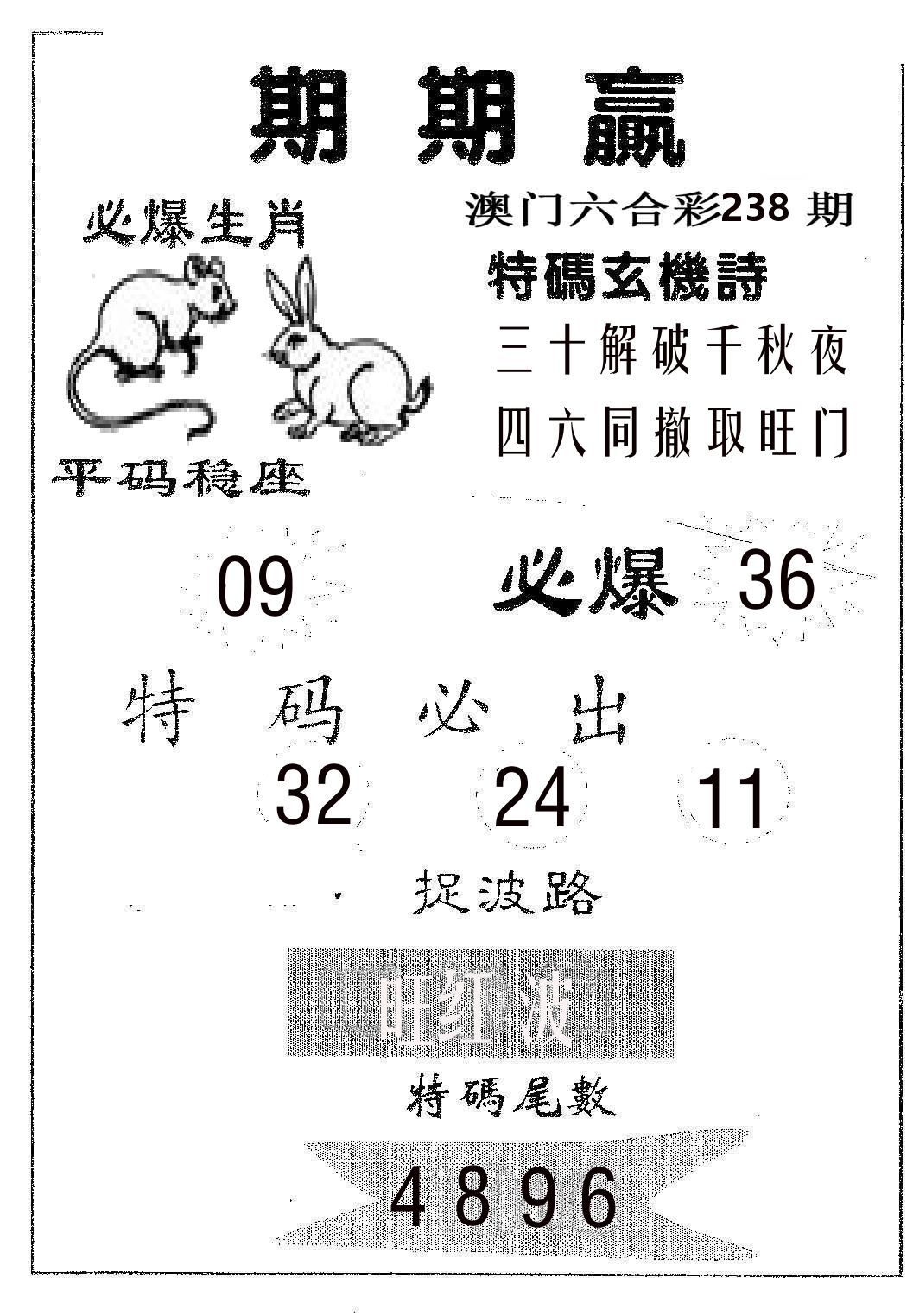 期期赢 第238期