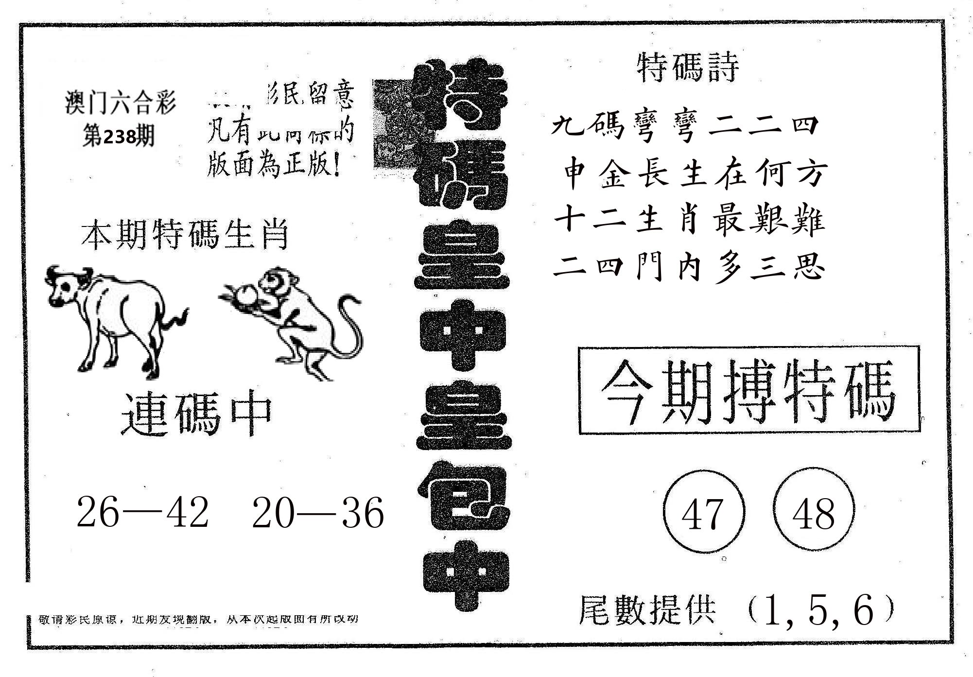 皇中皇A 第238期