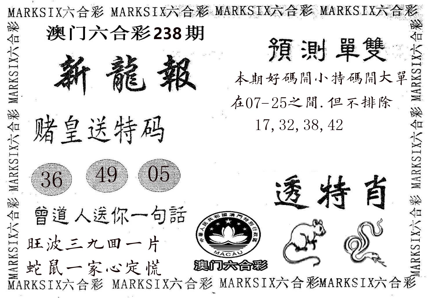 新龙报 第238期