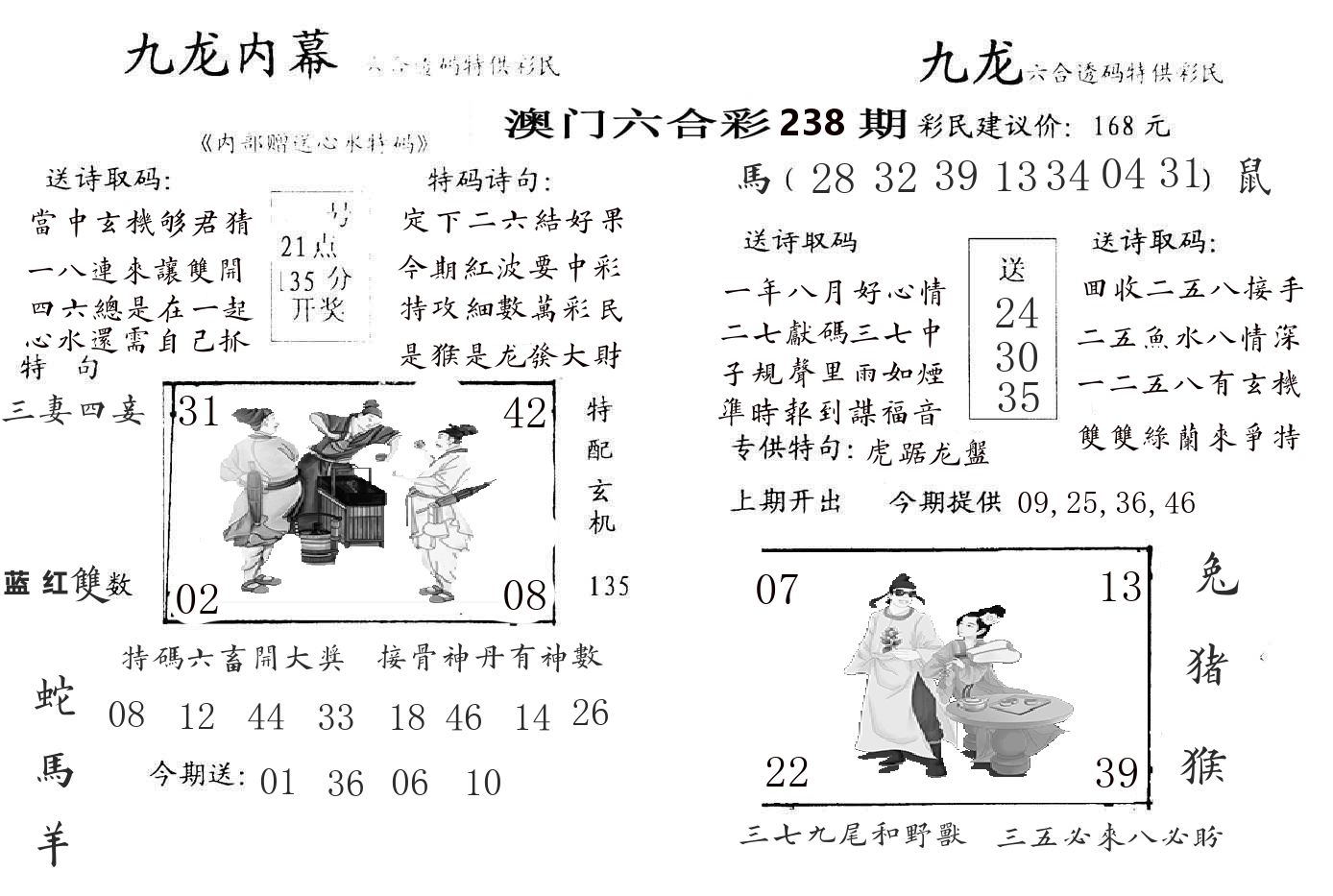 九龙内幕 第238期