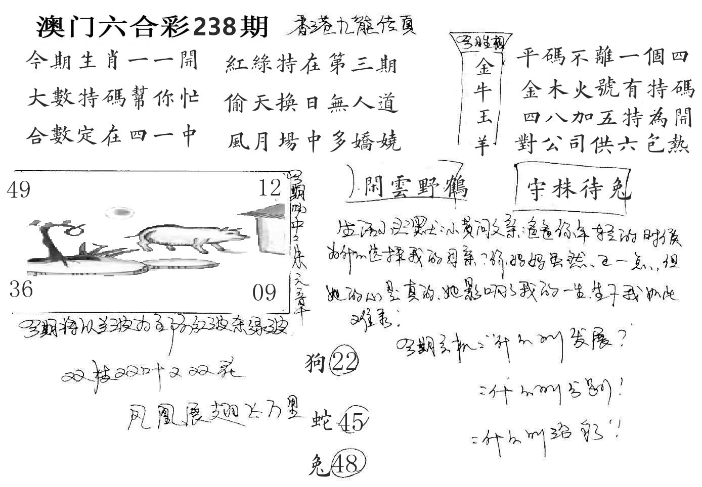 澳门手写九龙 第238期