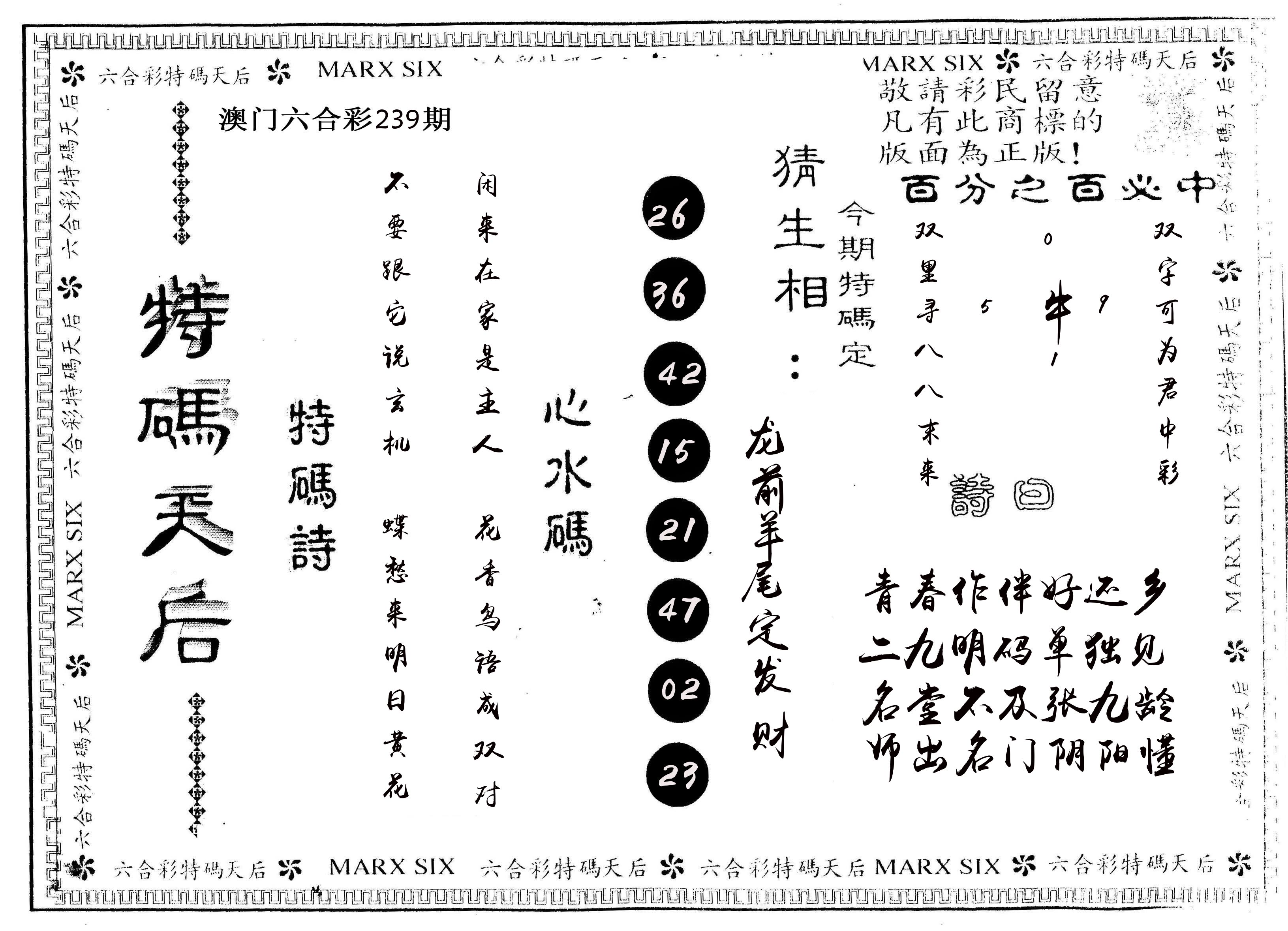 另版特码天后 第239期