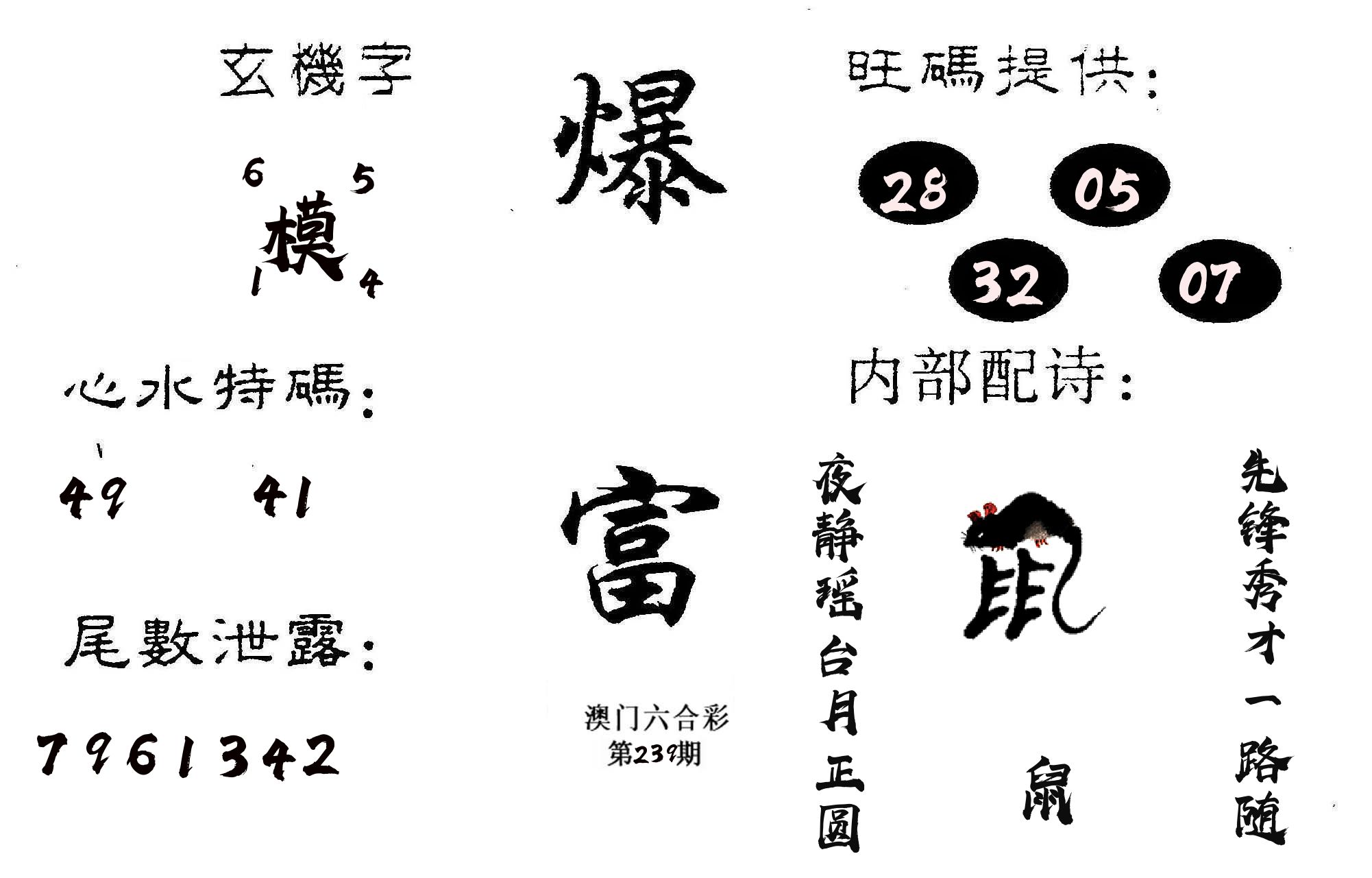 爆富 第239期