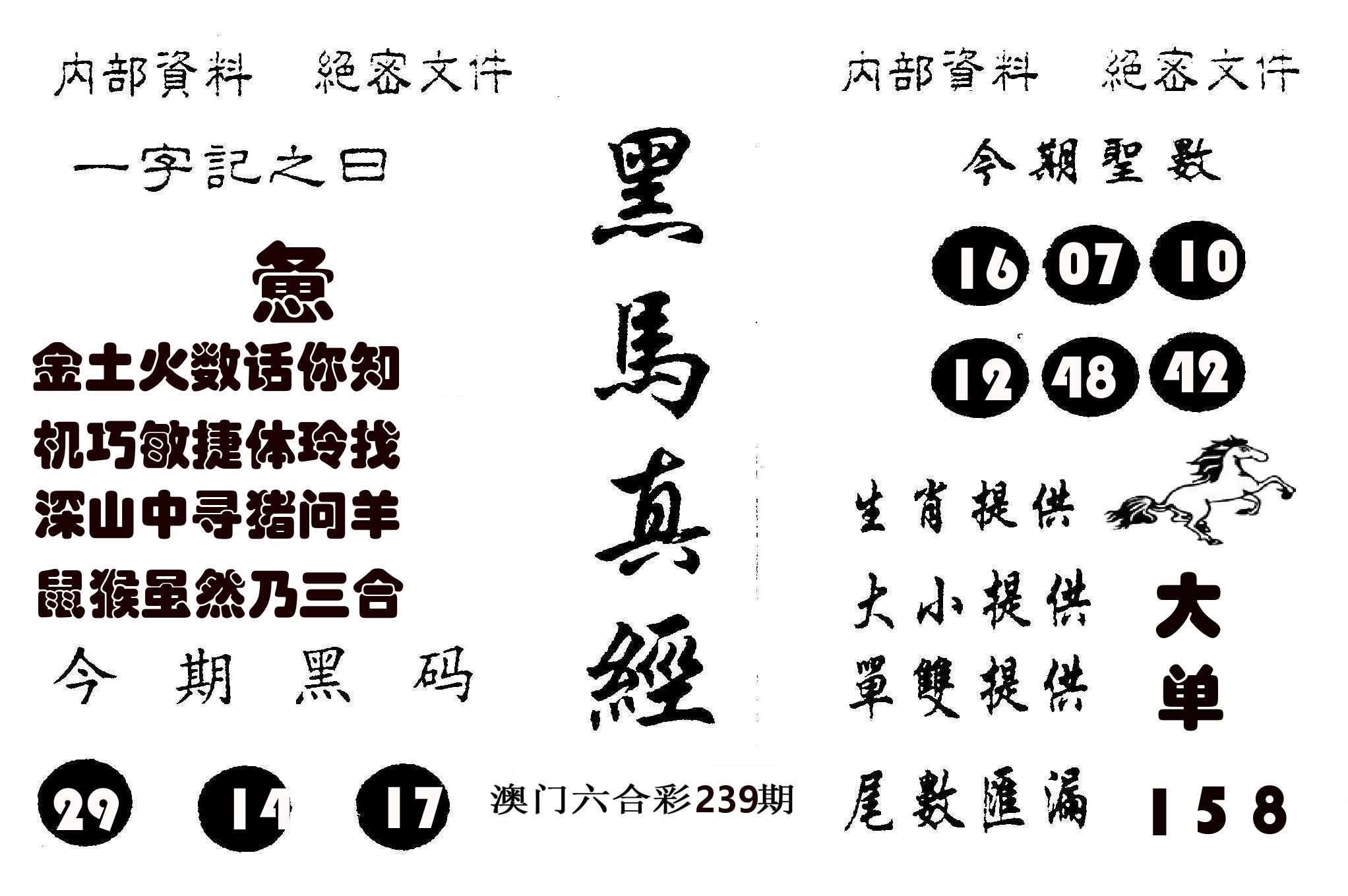 黑马真经 第239期