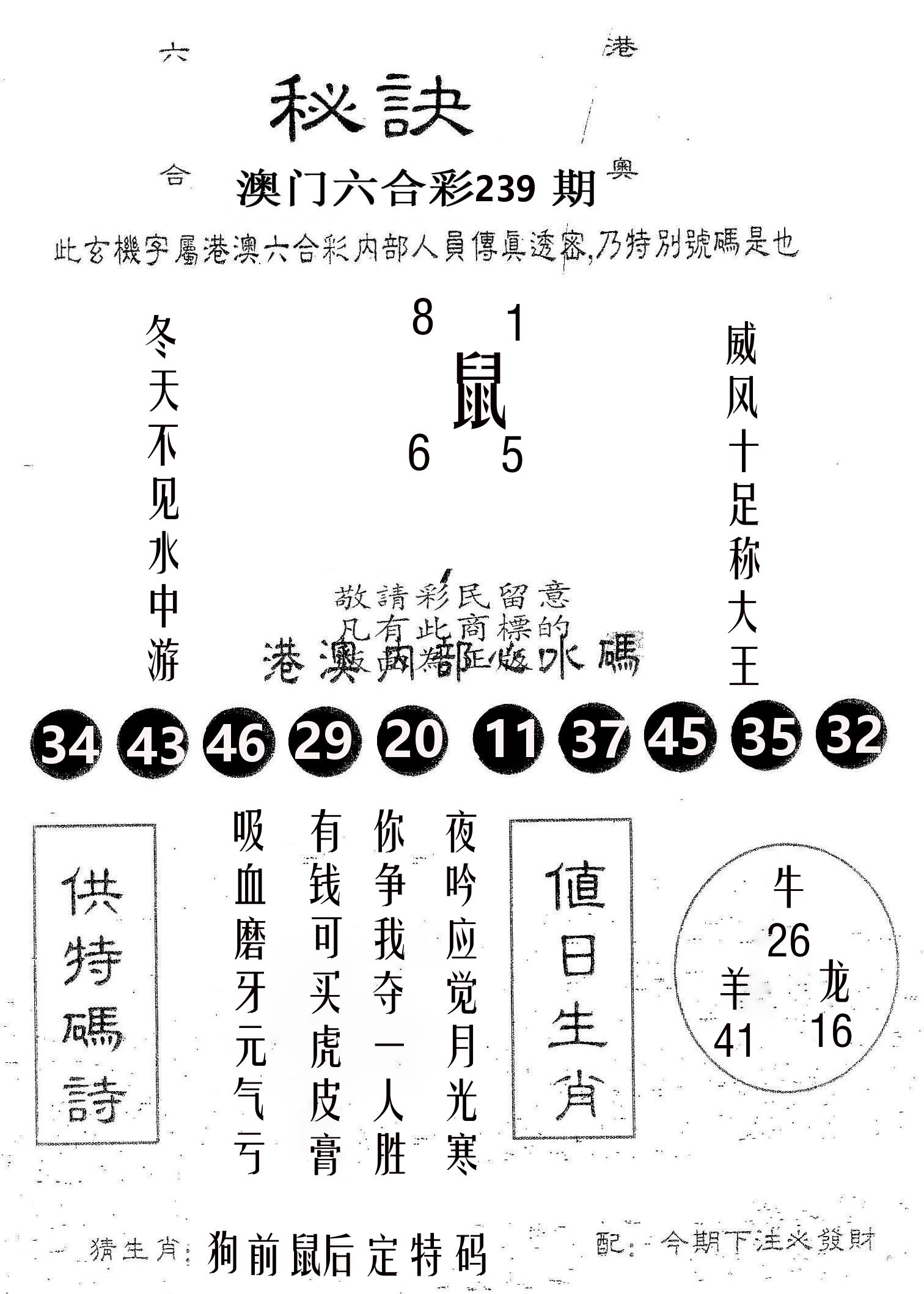 秘决 第239期