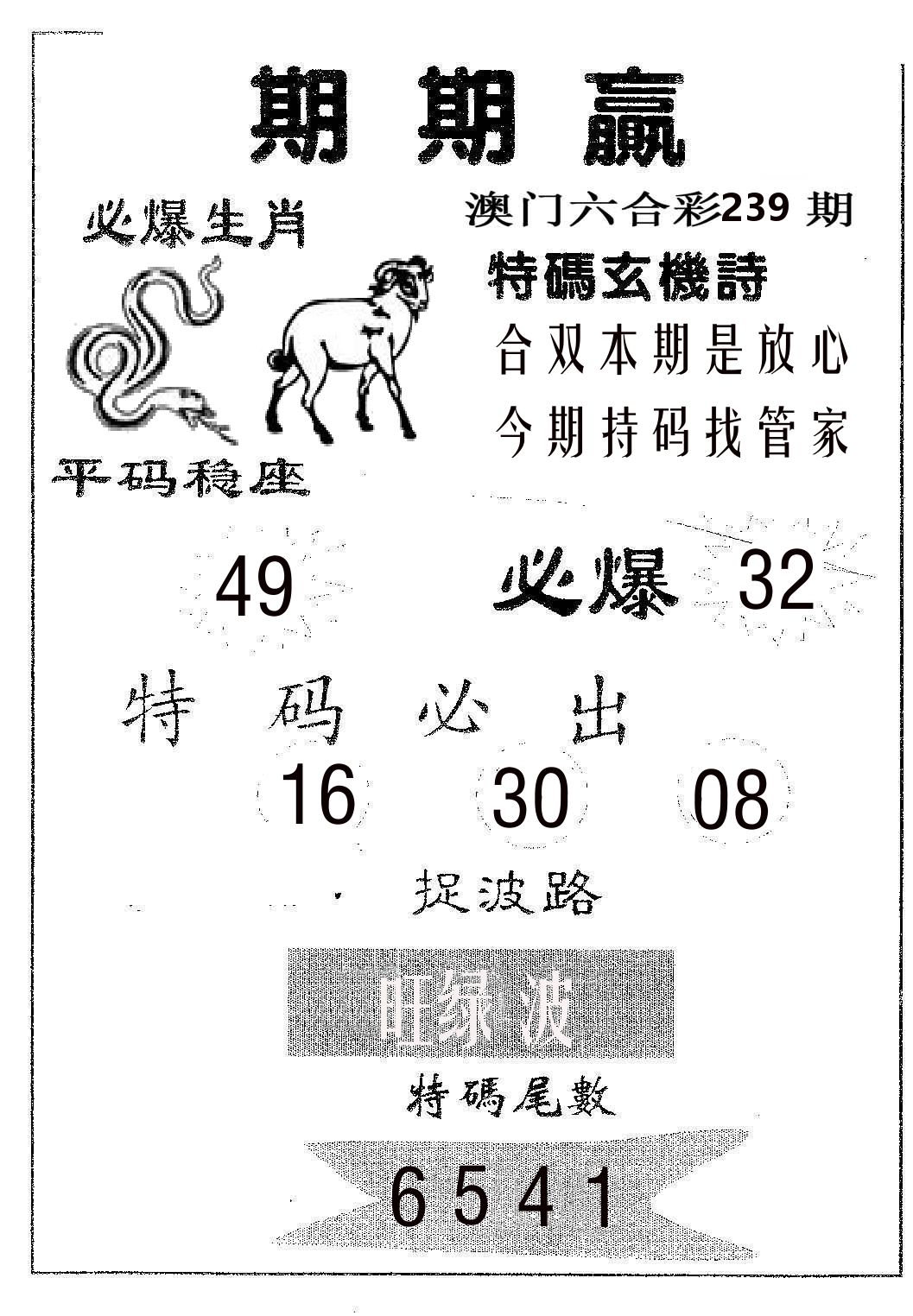 期期赢 第239期