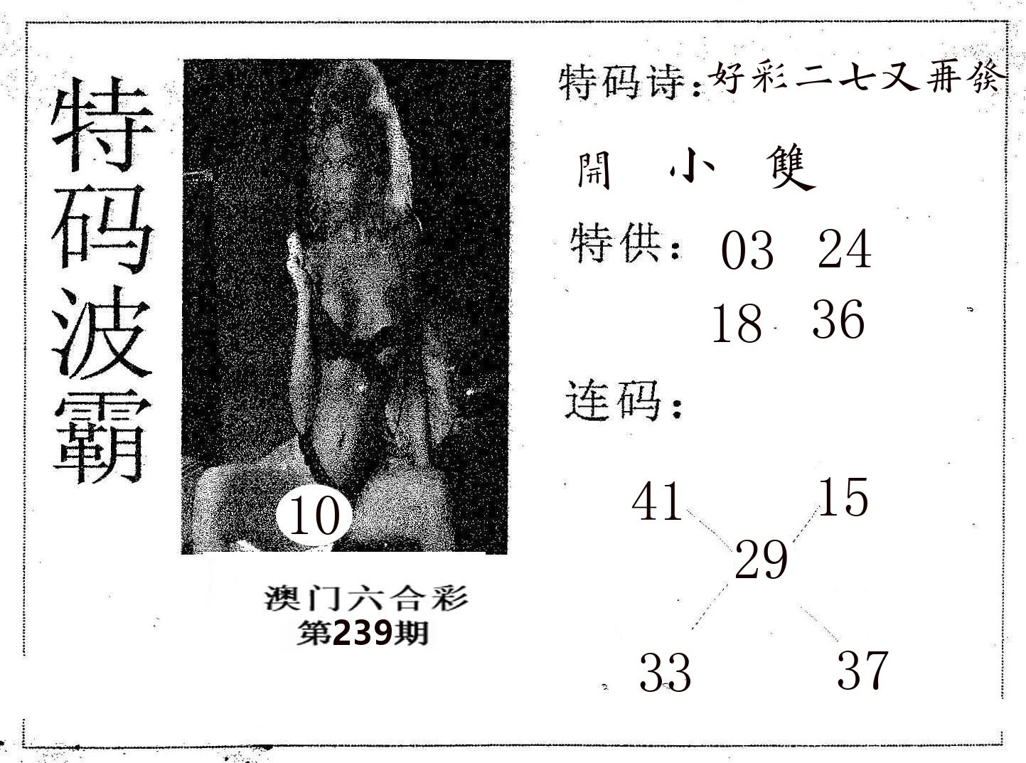 特码波霸 第239期