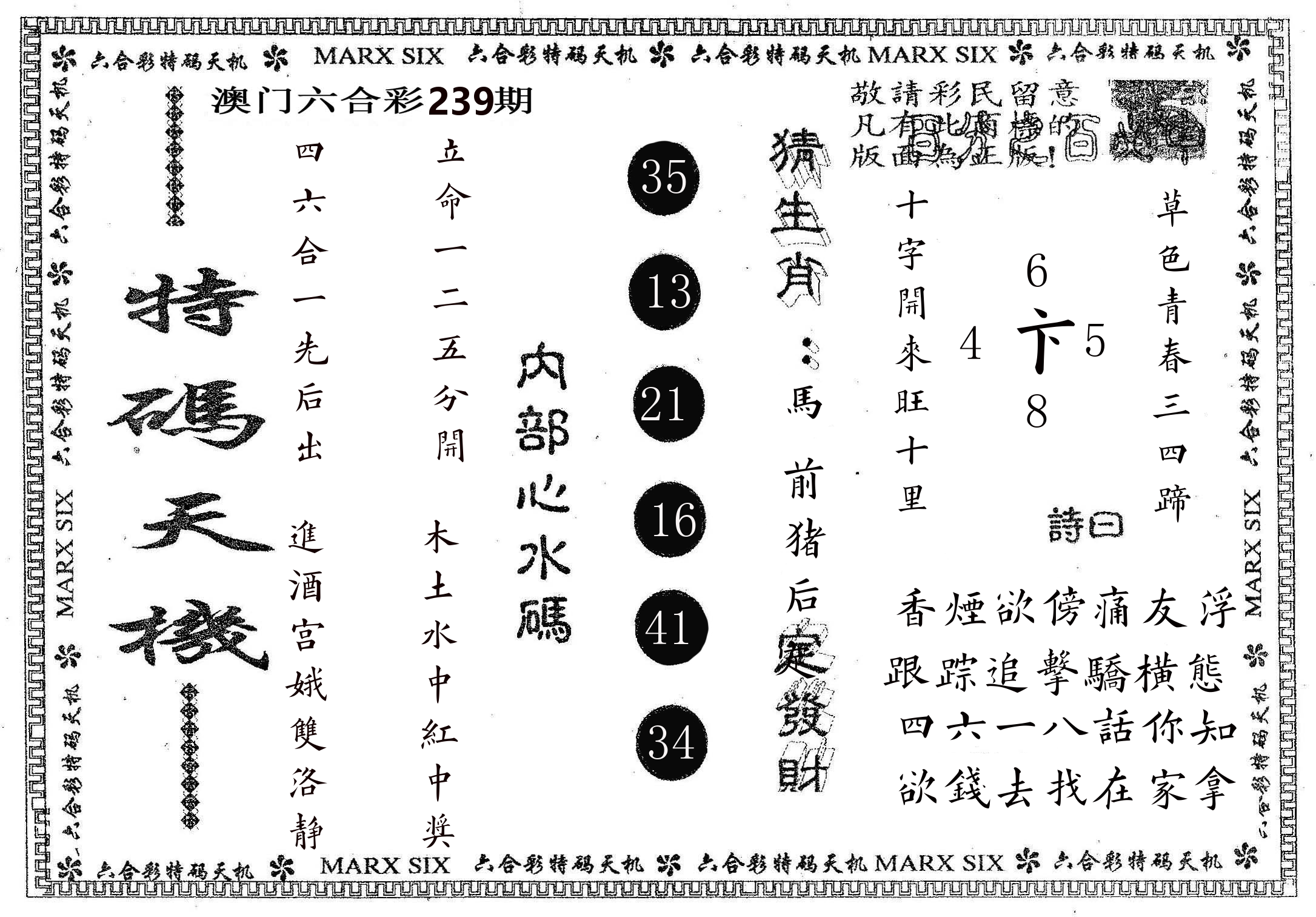 特码天机 第239期