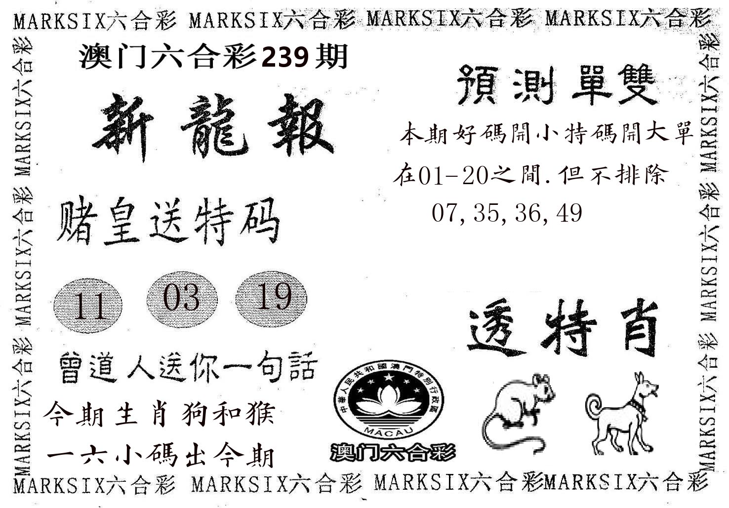 新龙报 第239期