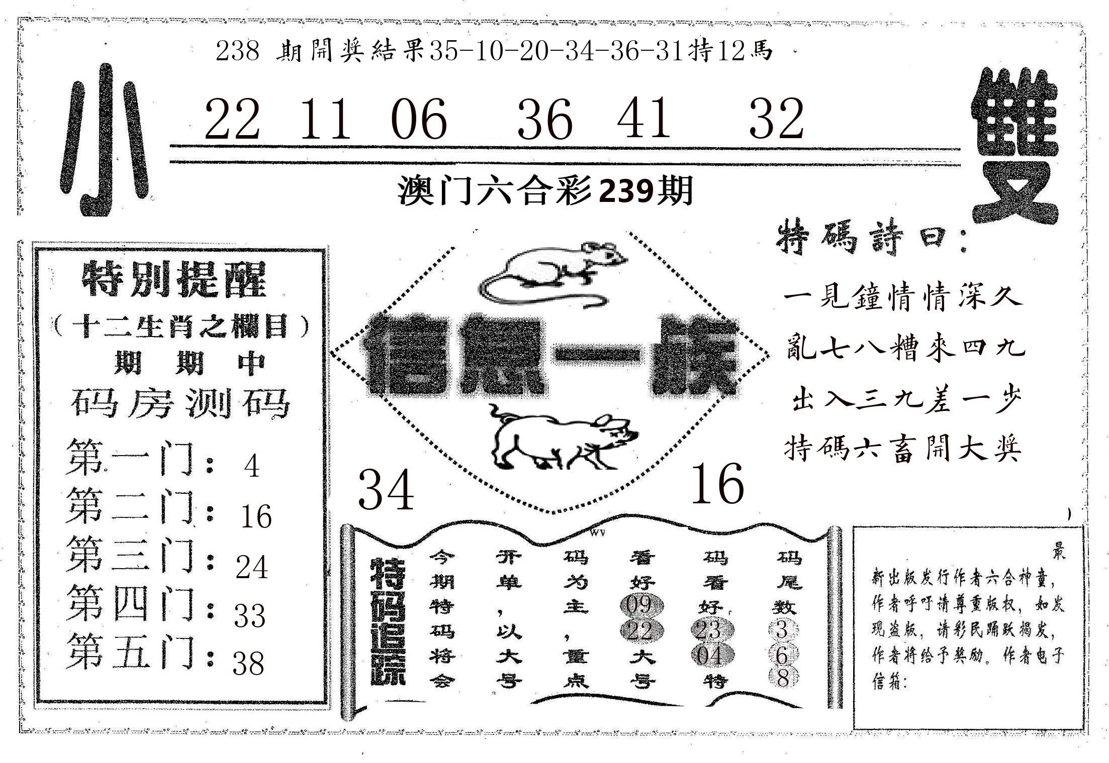 信息一族 第239期