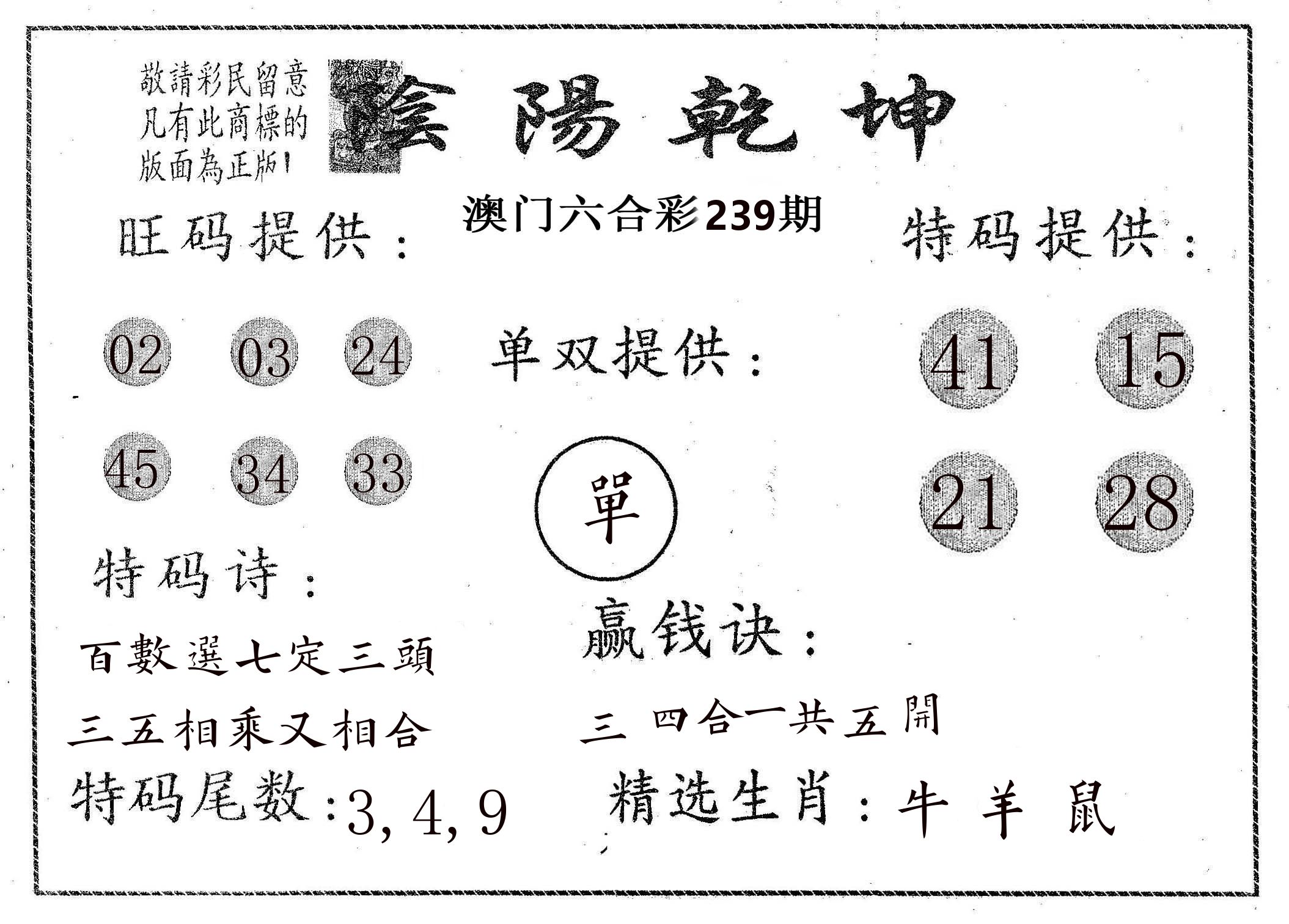 阴阳乾坤 第239期