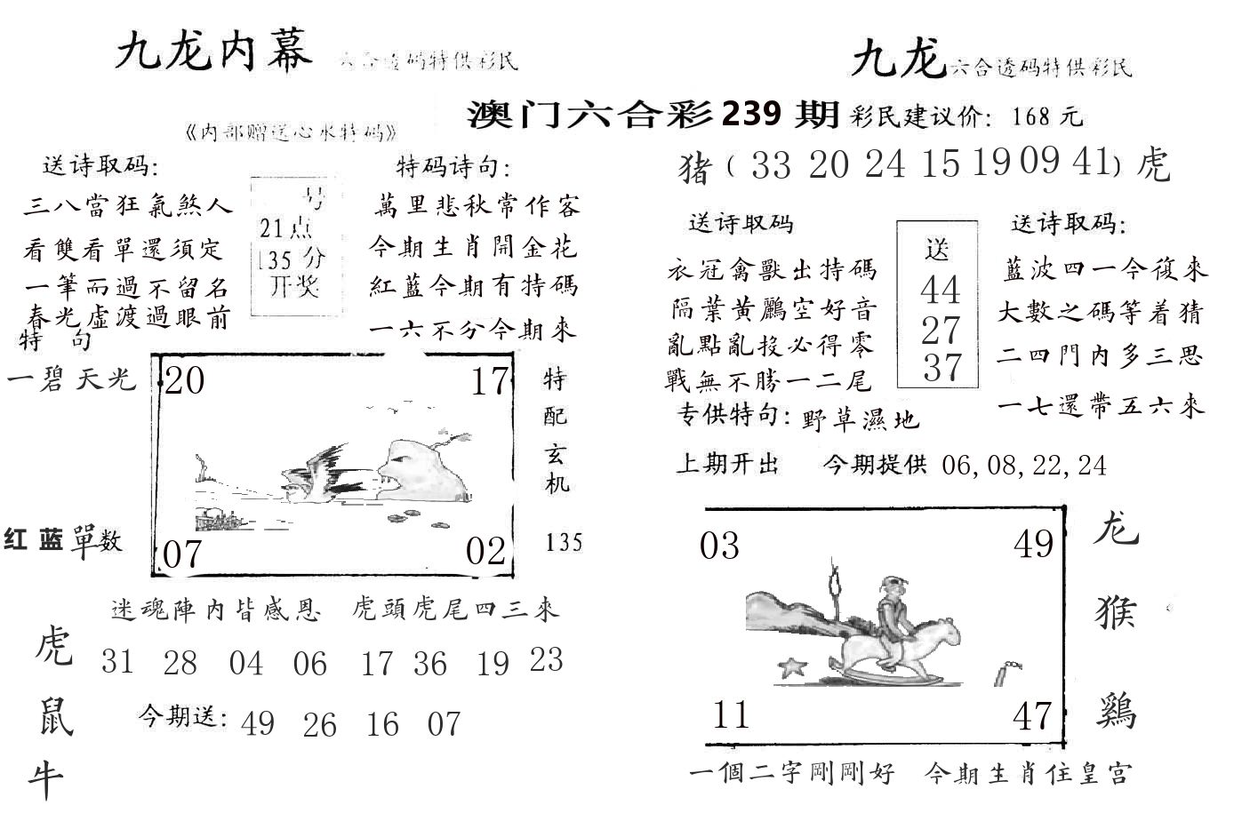 九龙内幕 第239期