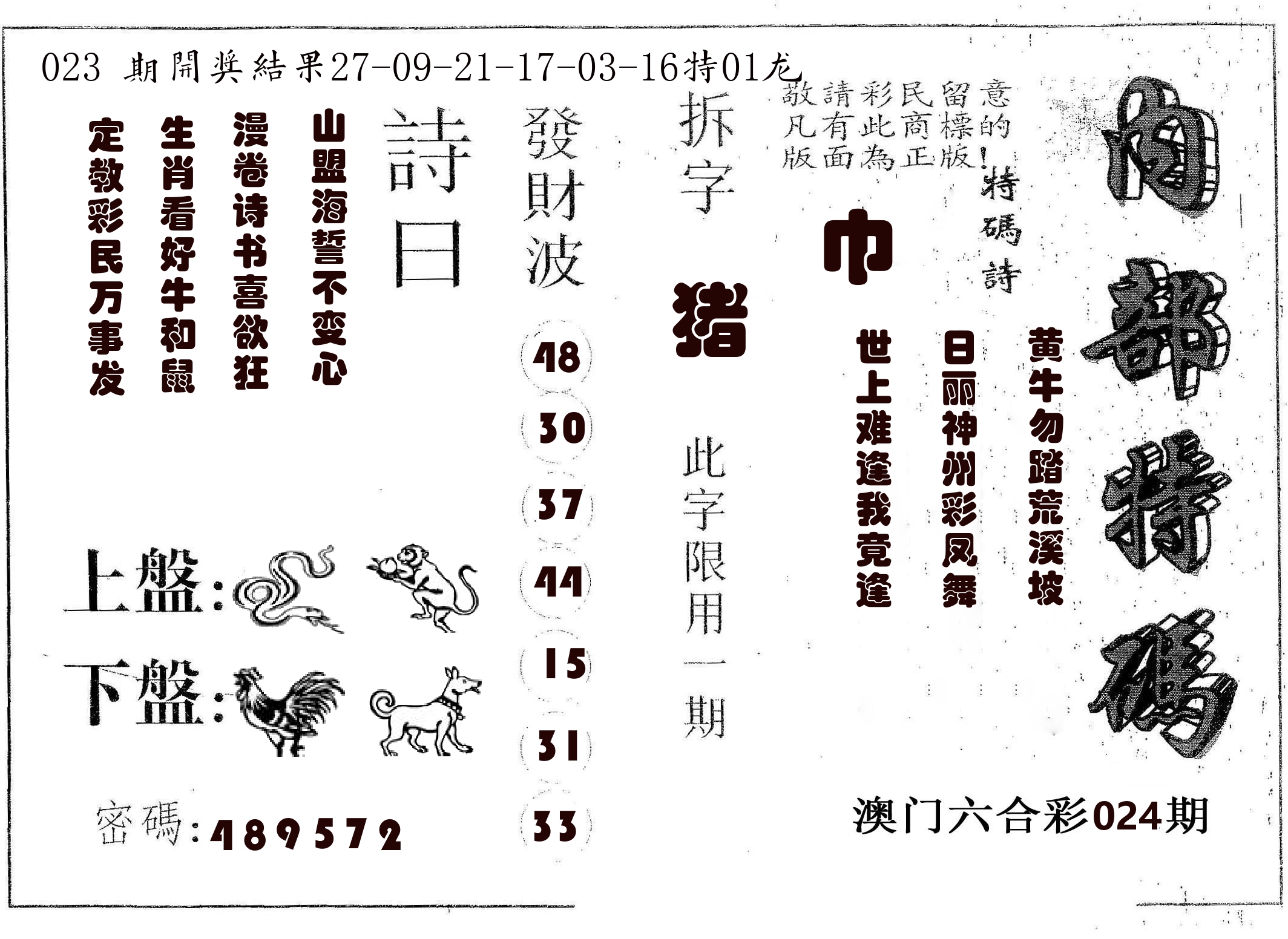 内部特码 第24期
