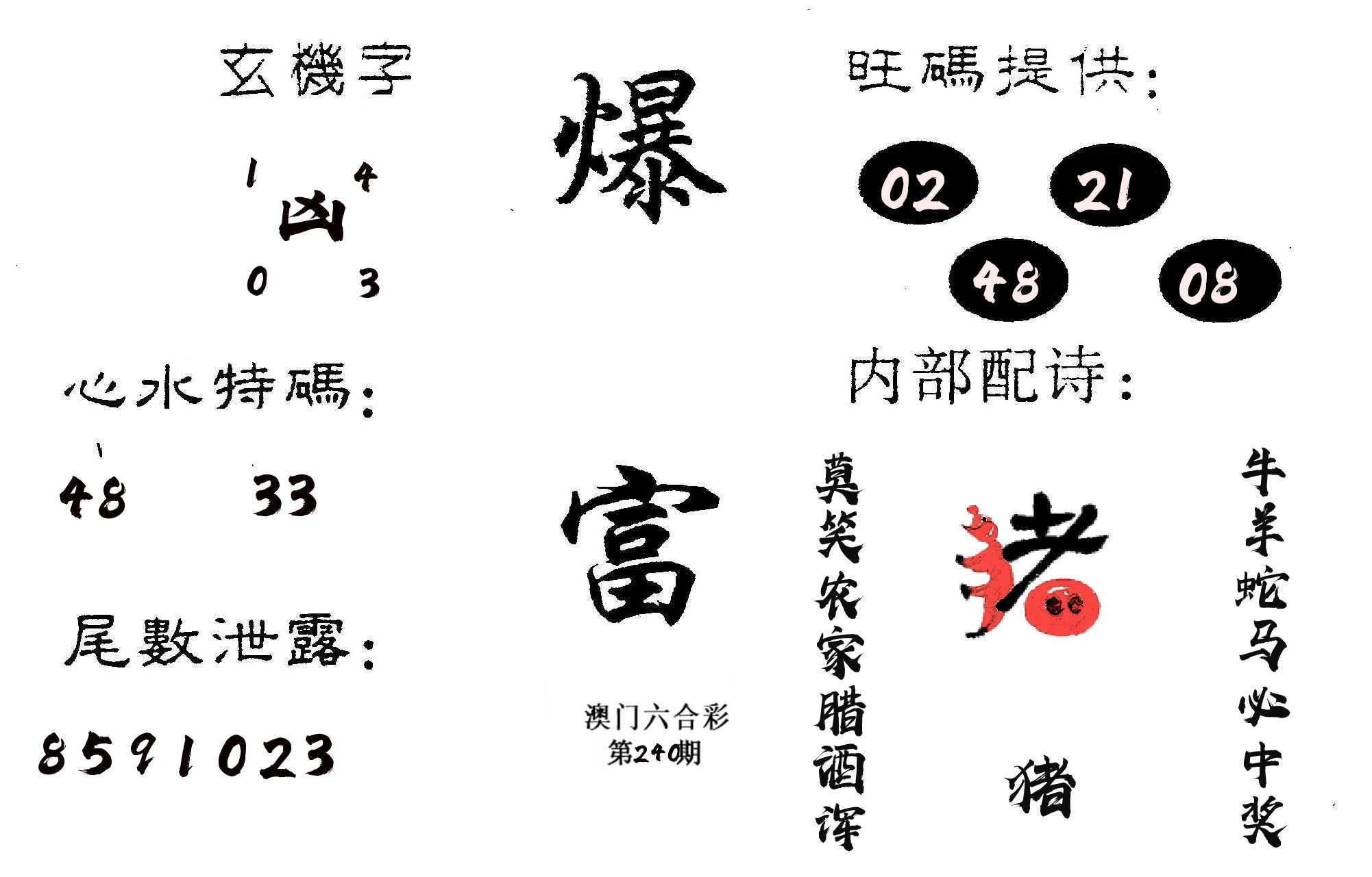 爆富 第240期