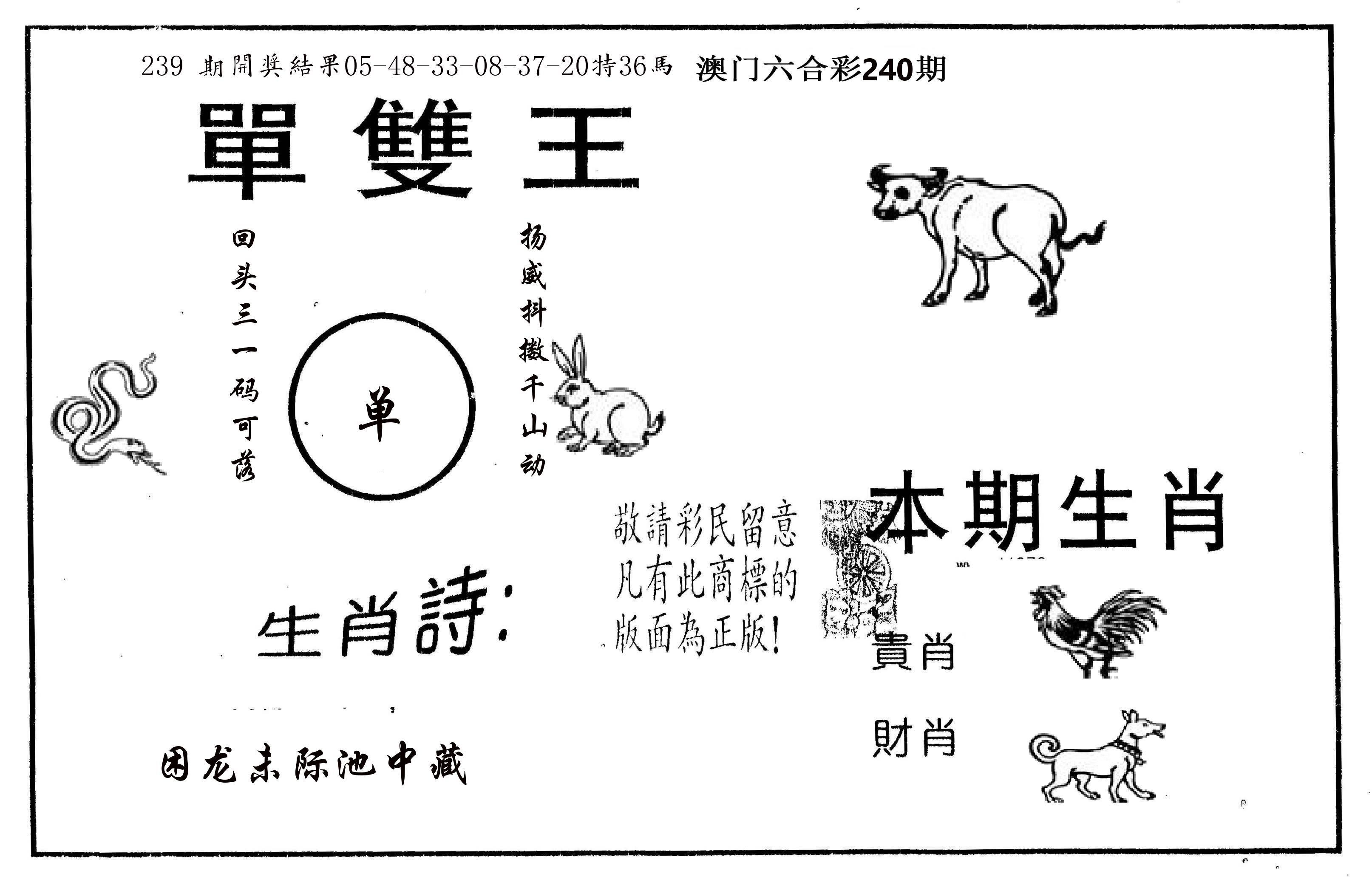 单双王A 第240期