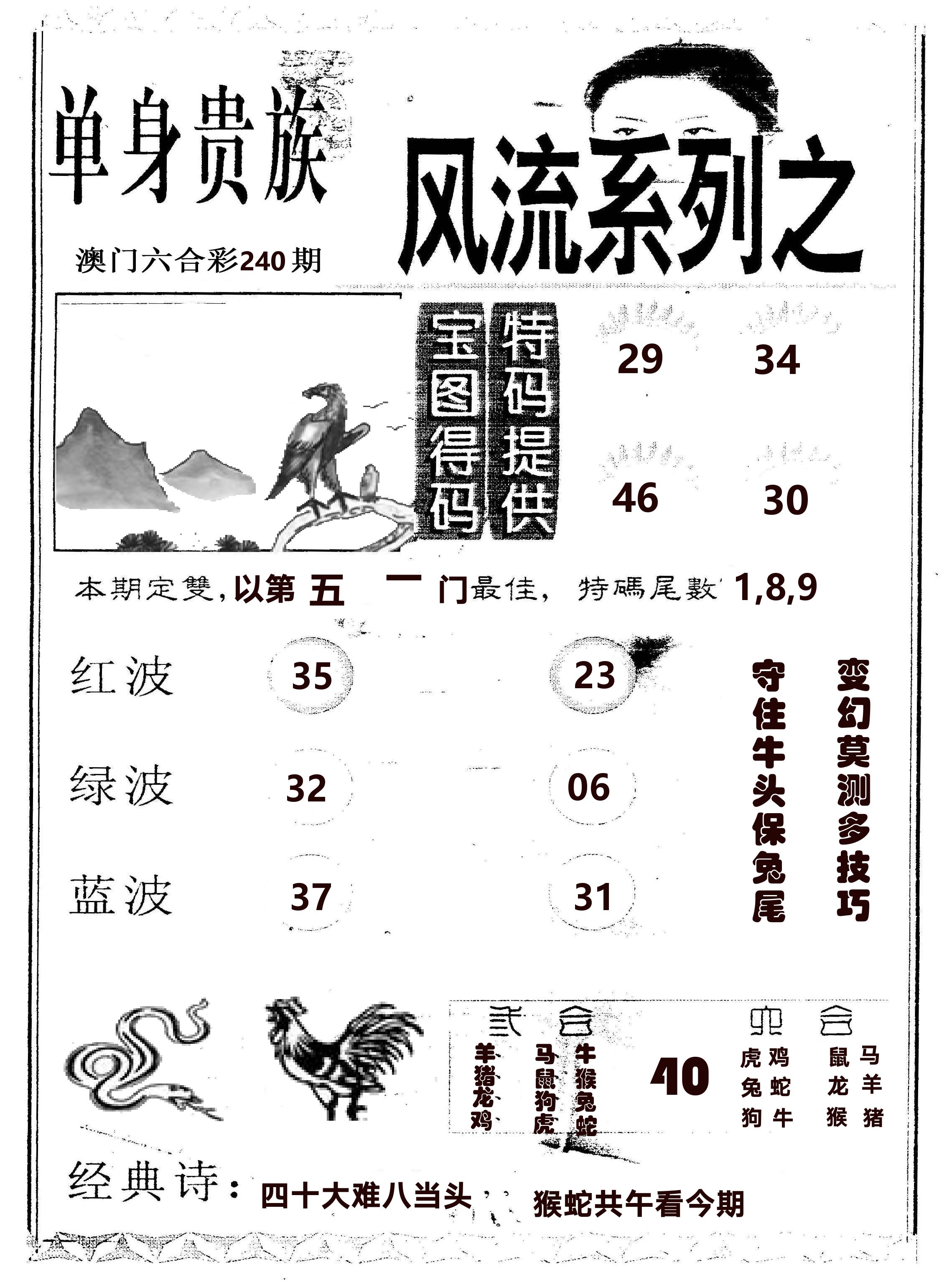 风流系列-2 第240期
