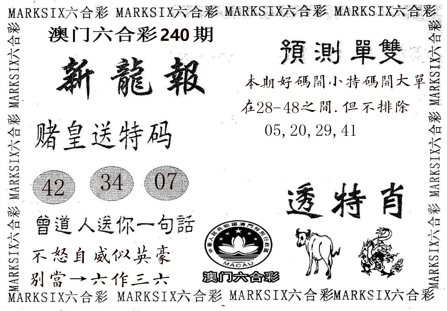 新龙报 第240期