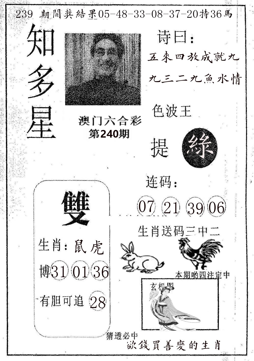 知多星 第240期