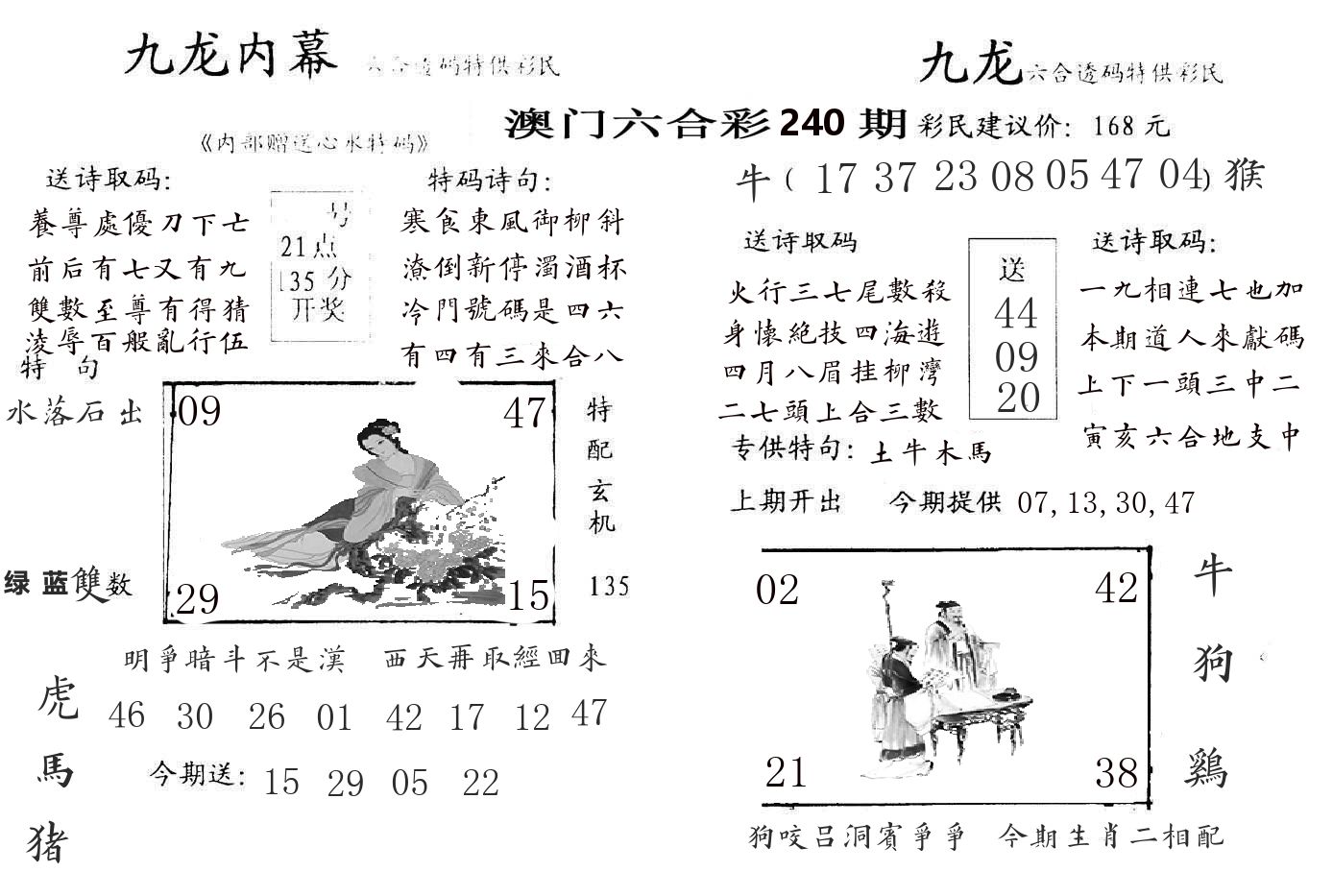 九龙内幕 第240期
