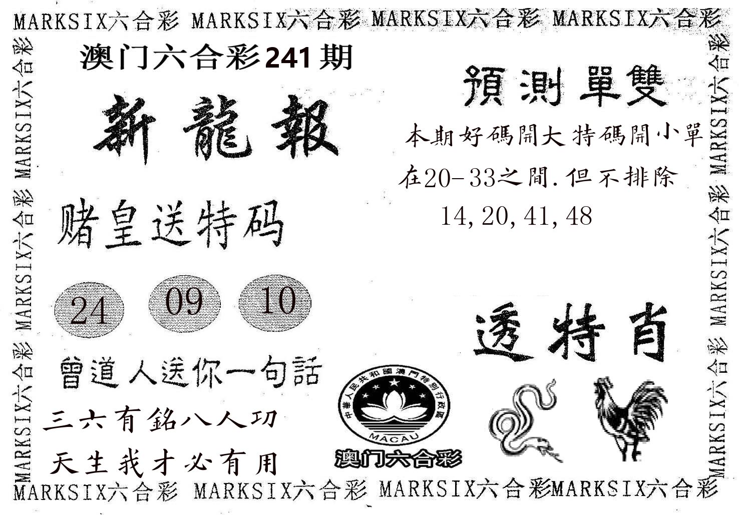 新龙报 第241期